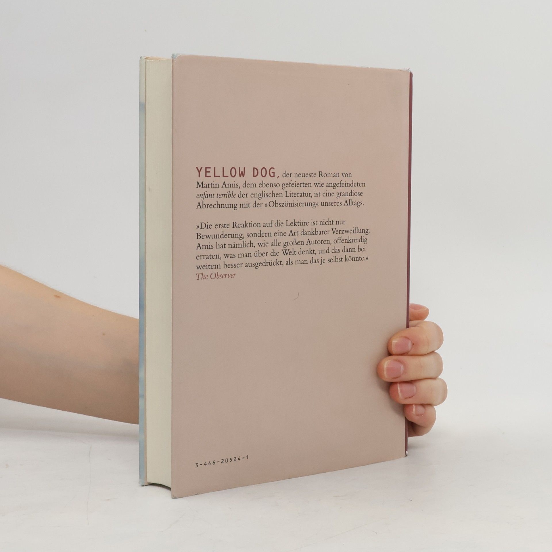 Martin Amis Yellow Dog