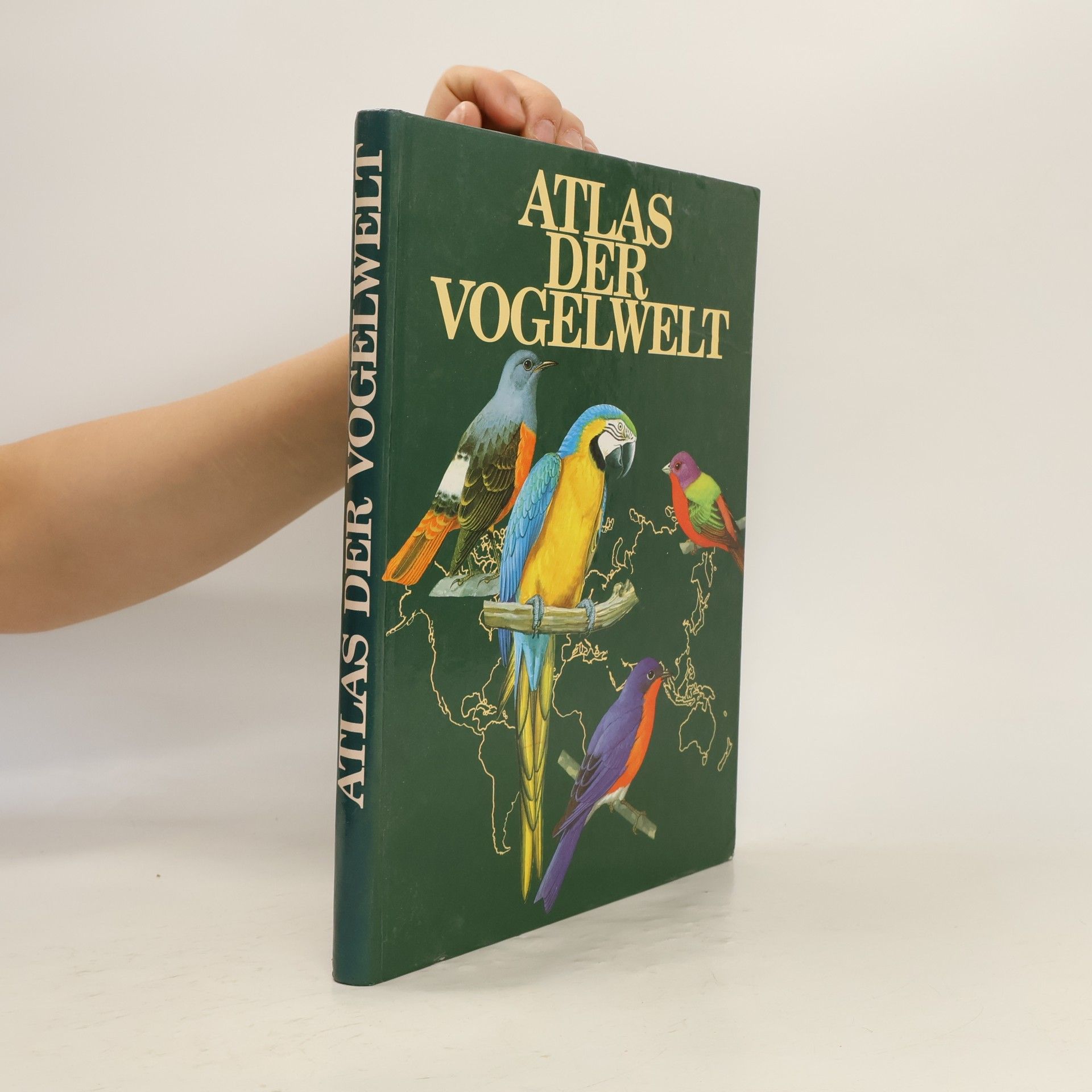 Goetz Rheinwald Atlas der Vogelwelt