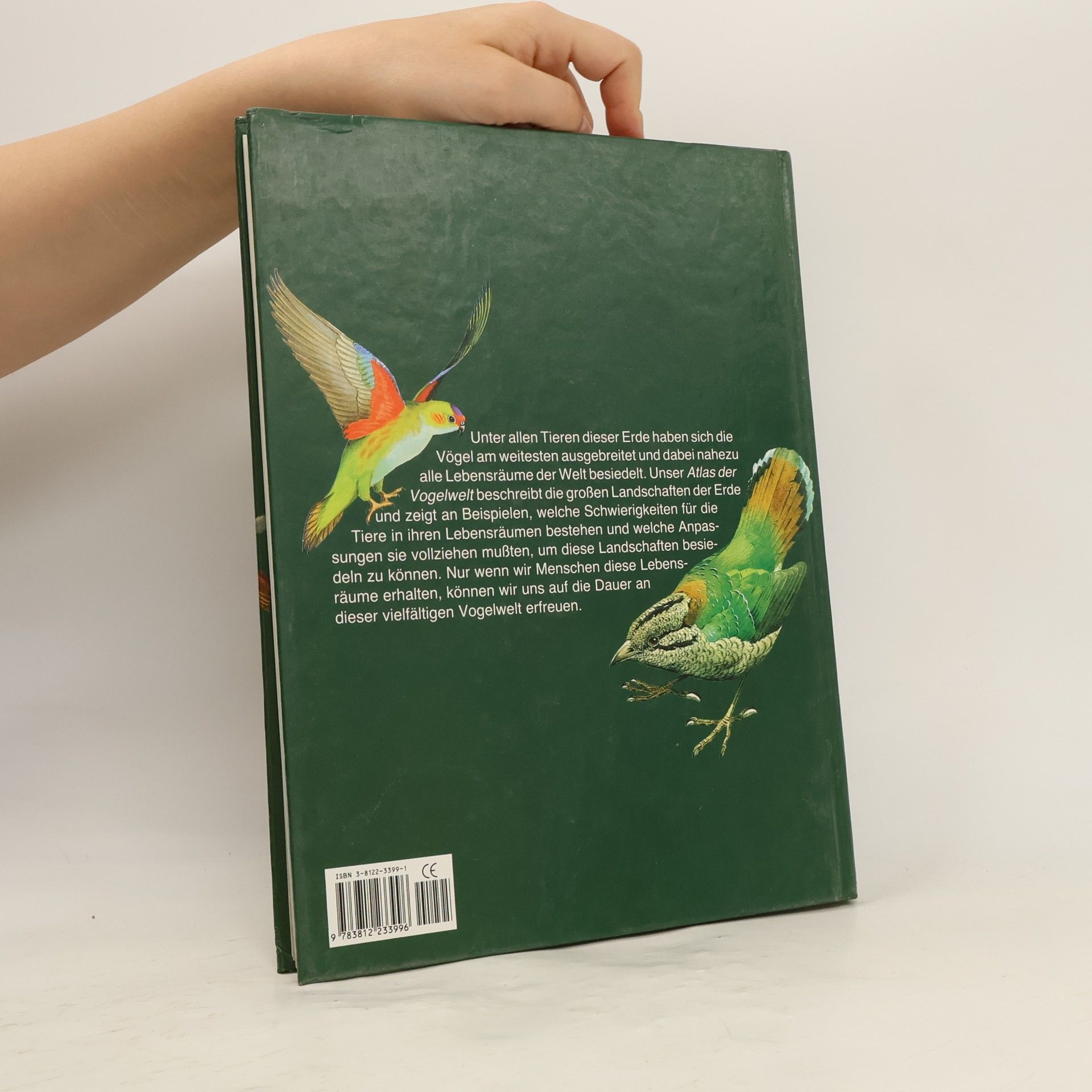 Goetz Rheinwald Atlas der Vogelwelt