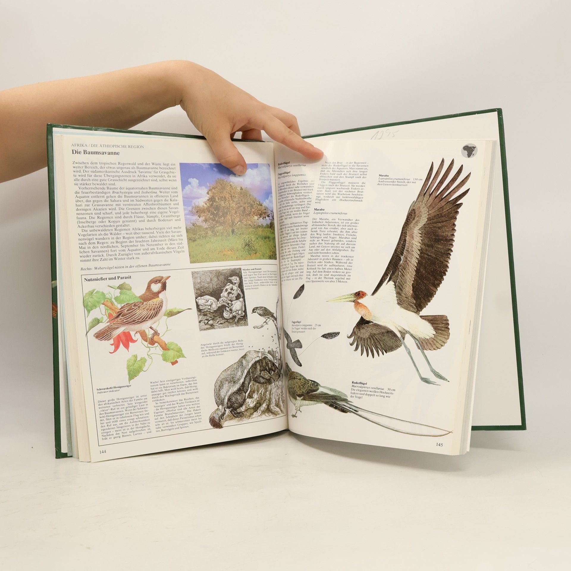 Goetz Rheinwald Atlas der Vogelwelt