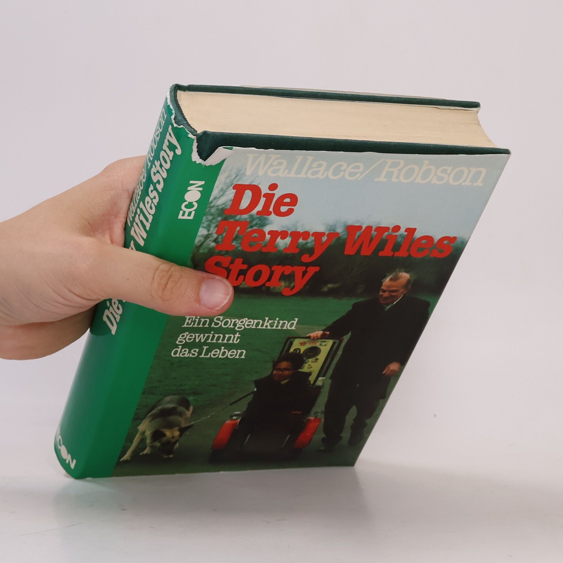Marjorie Wallace Die Terry-Wiles-Story