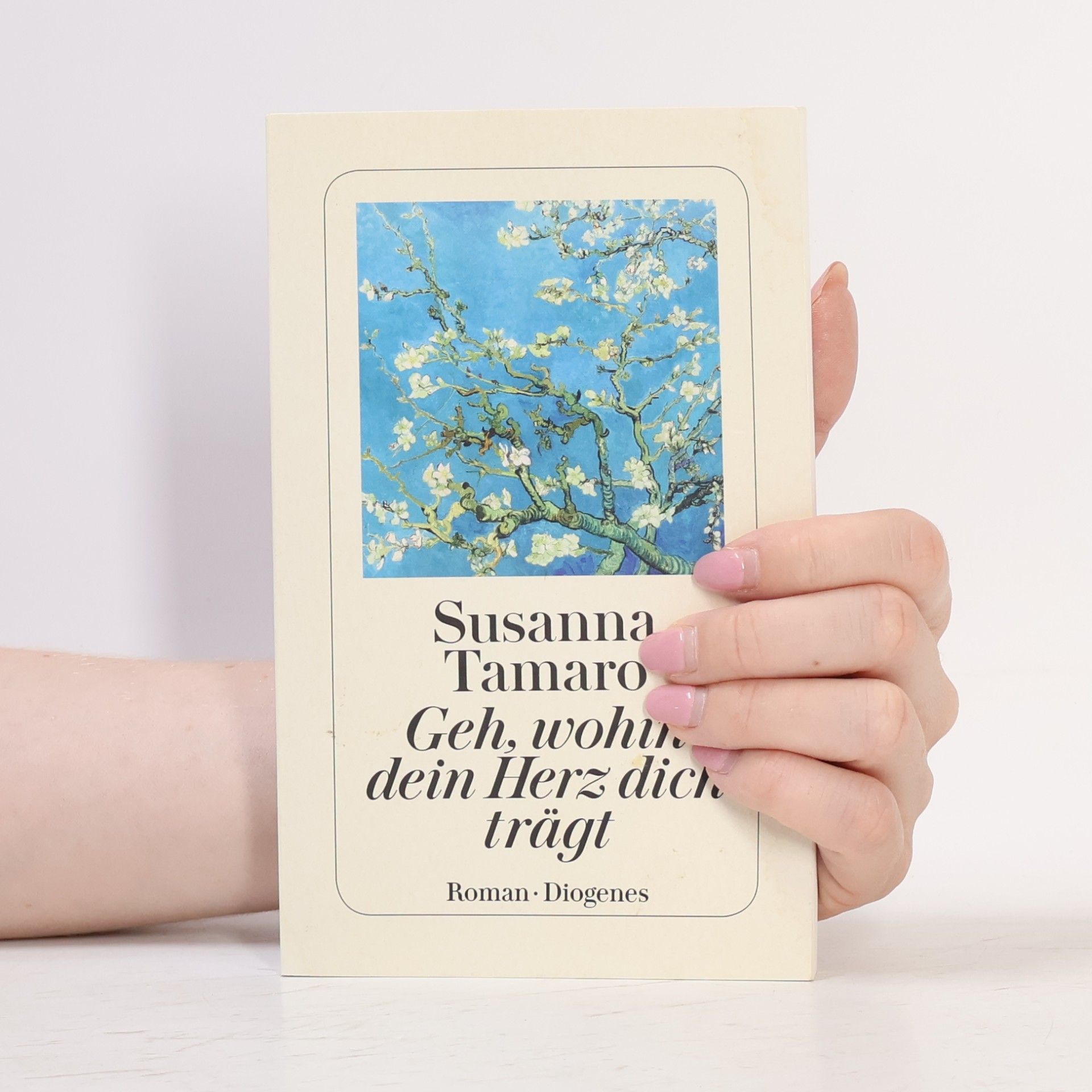 Susanna Tamaro Geh, wohin dein Herz dich trägt