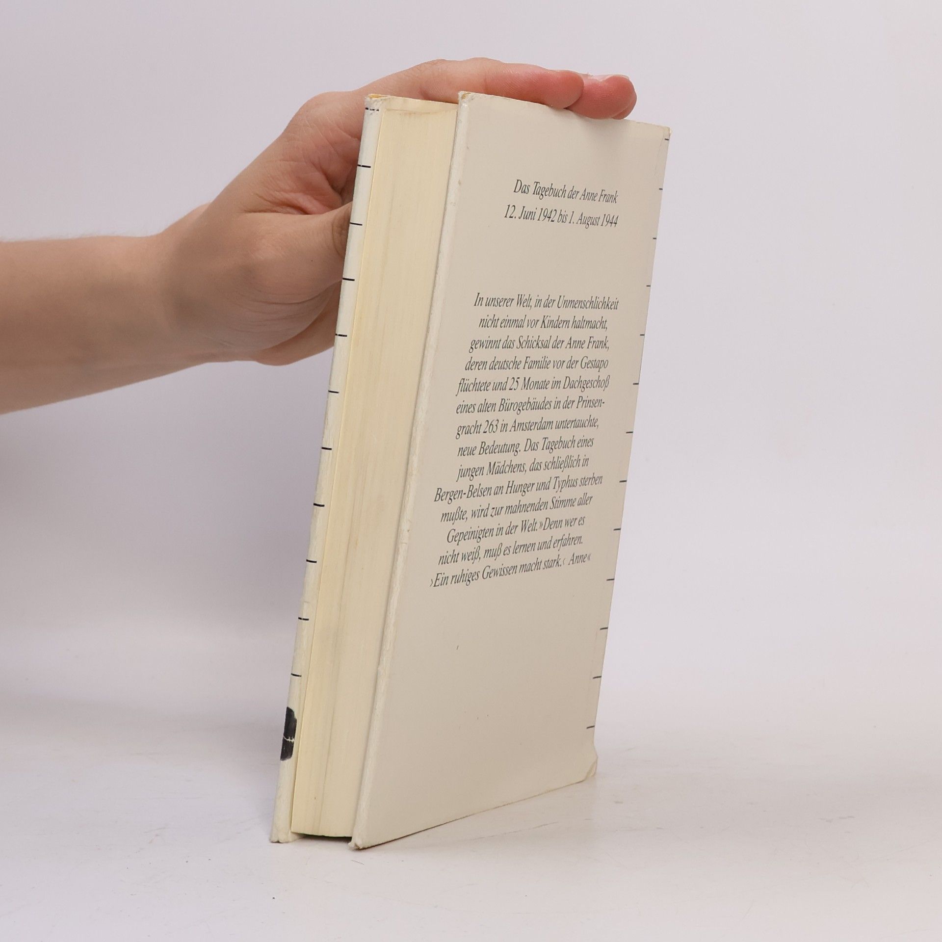 Anne Frank Das Tagebuch der Anne Frank