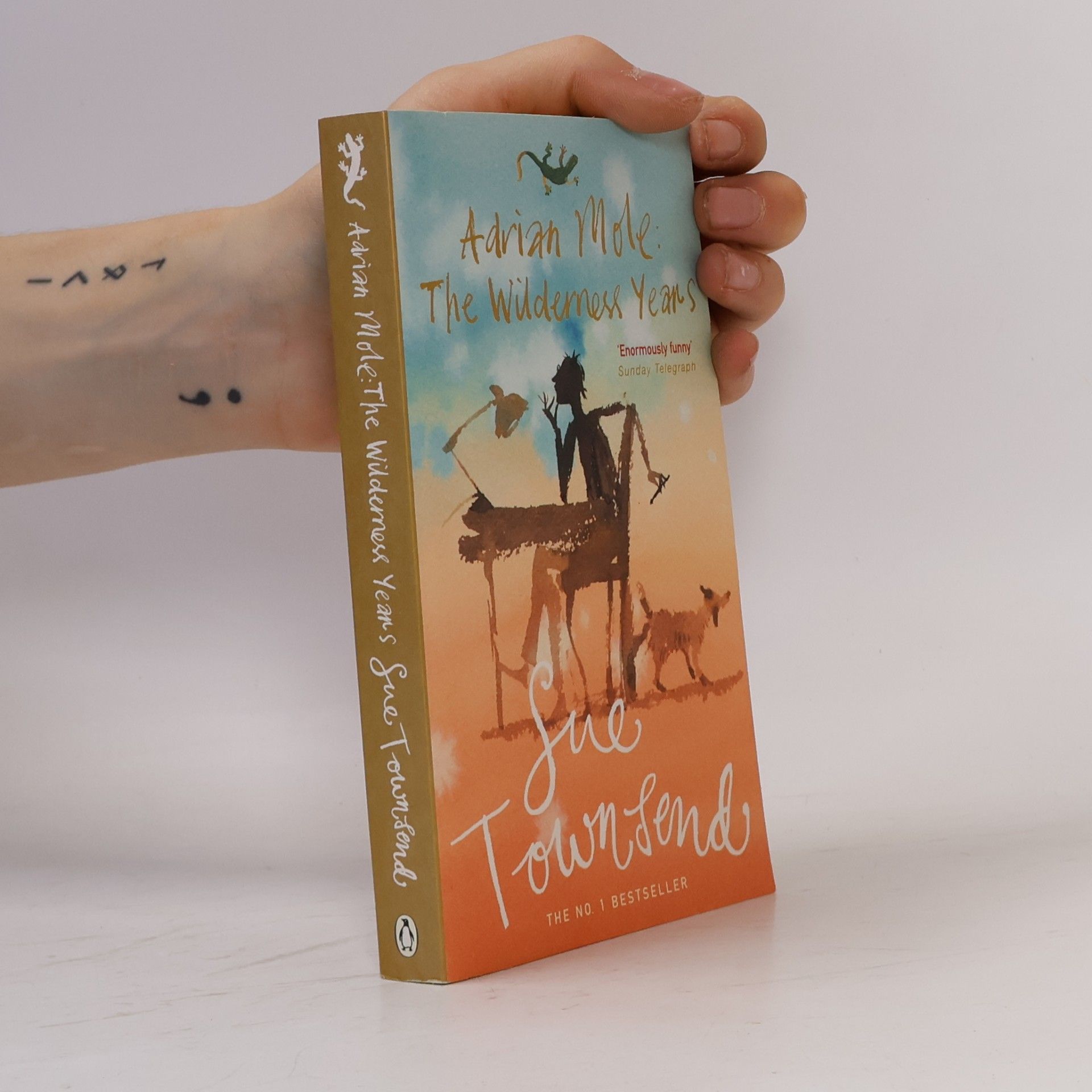 Sue Townsend Adrian Mole : the wilderness years
