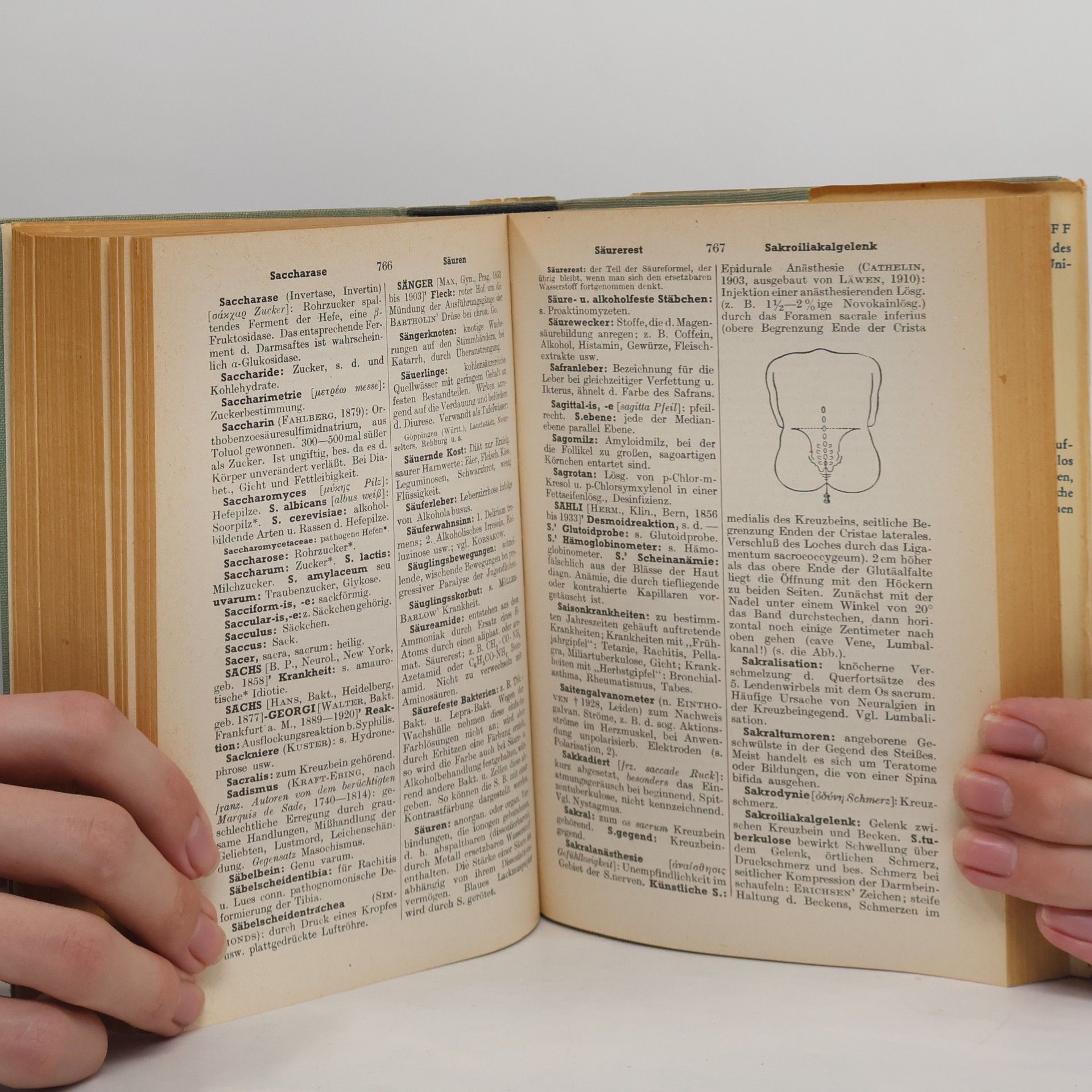 Willibald Pschyrembel Klinisches Wörterbuch