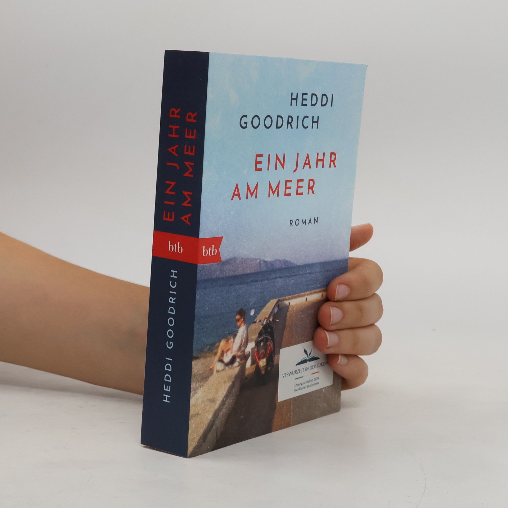 Heddi Goodrich Ein Jahr am Meer