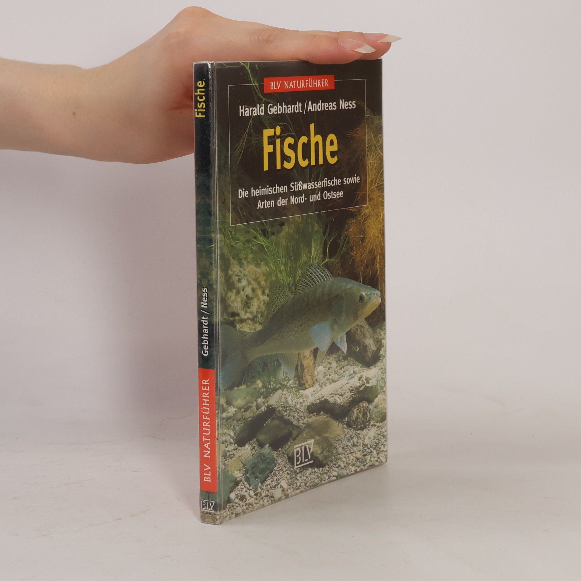 Harald Gebhardt Fische