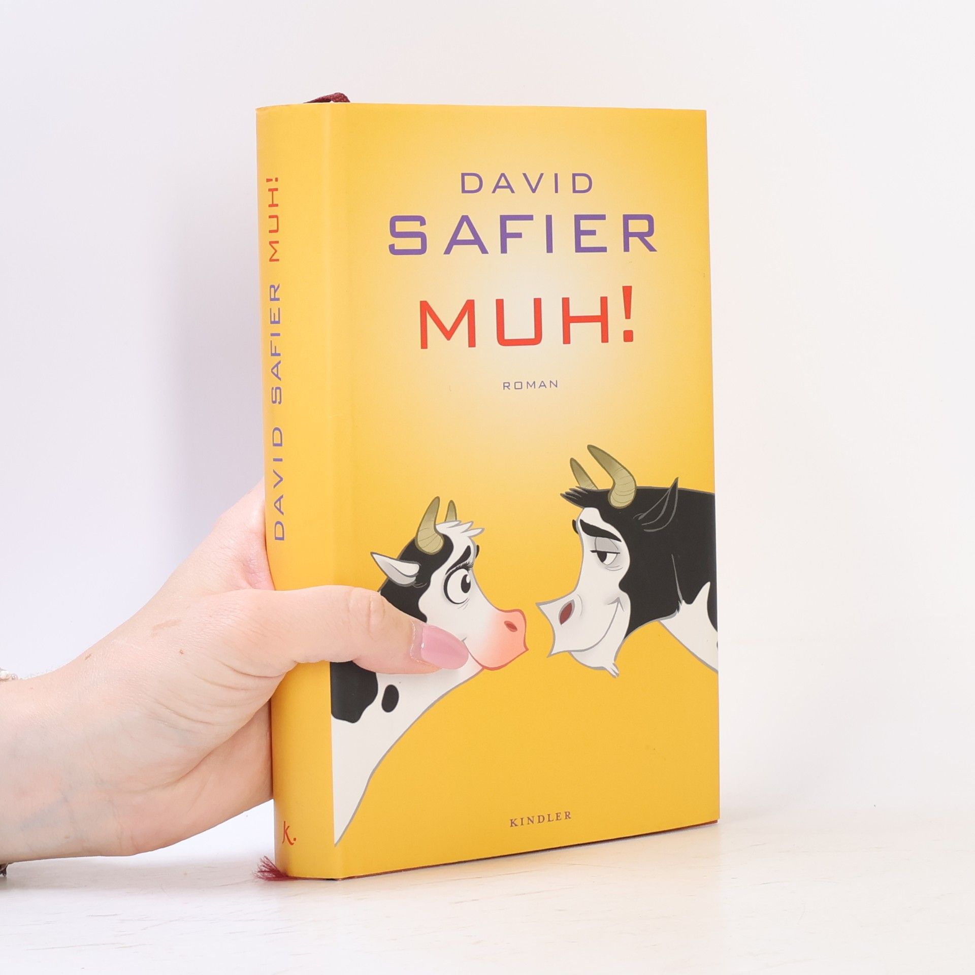 David Safier Muh!