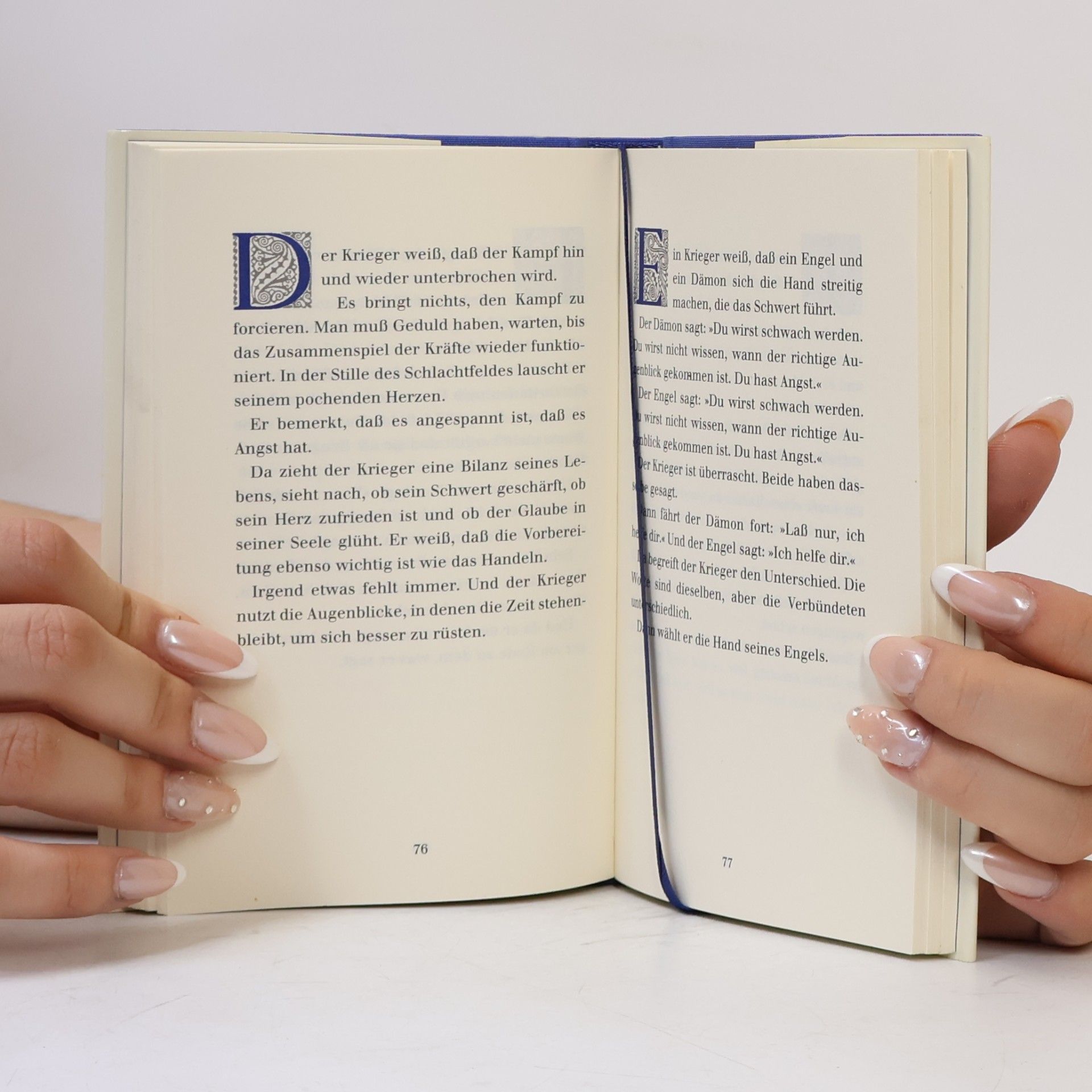 Paulo Coelho Handbuch des Kriegers des Lichts