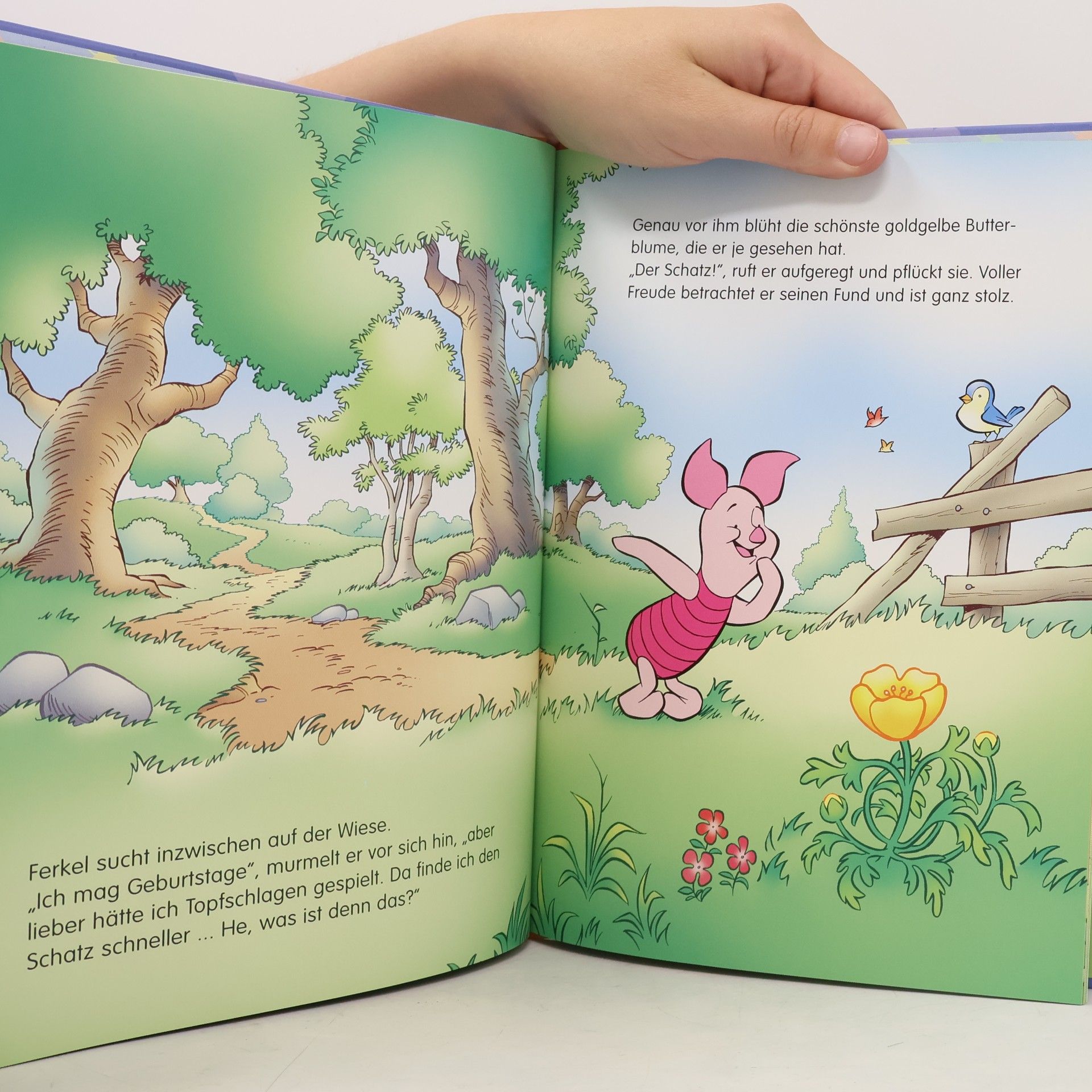 Autorenkollektiv Winnie Puuh. Der Goldschatz