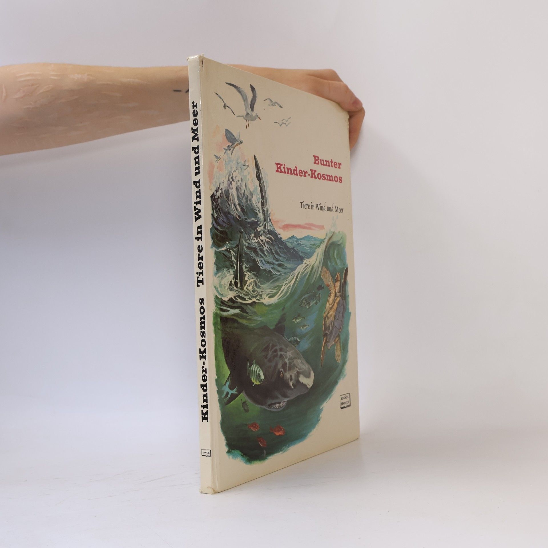 Rinaldo D. D'Ami Tiere in Wind und Meer