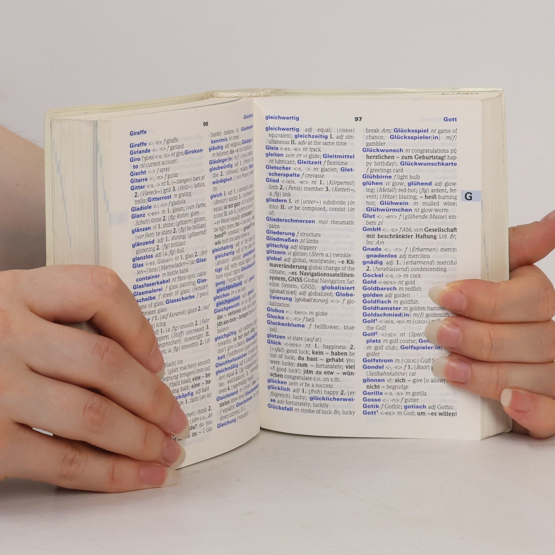 Rupert Livesey PONS Basiswörterbuch