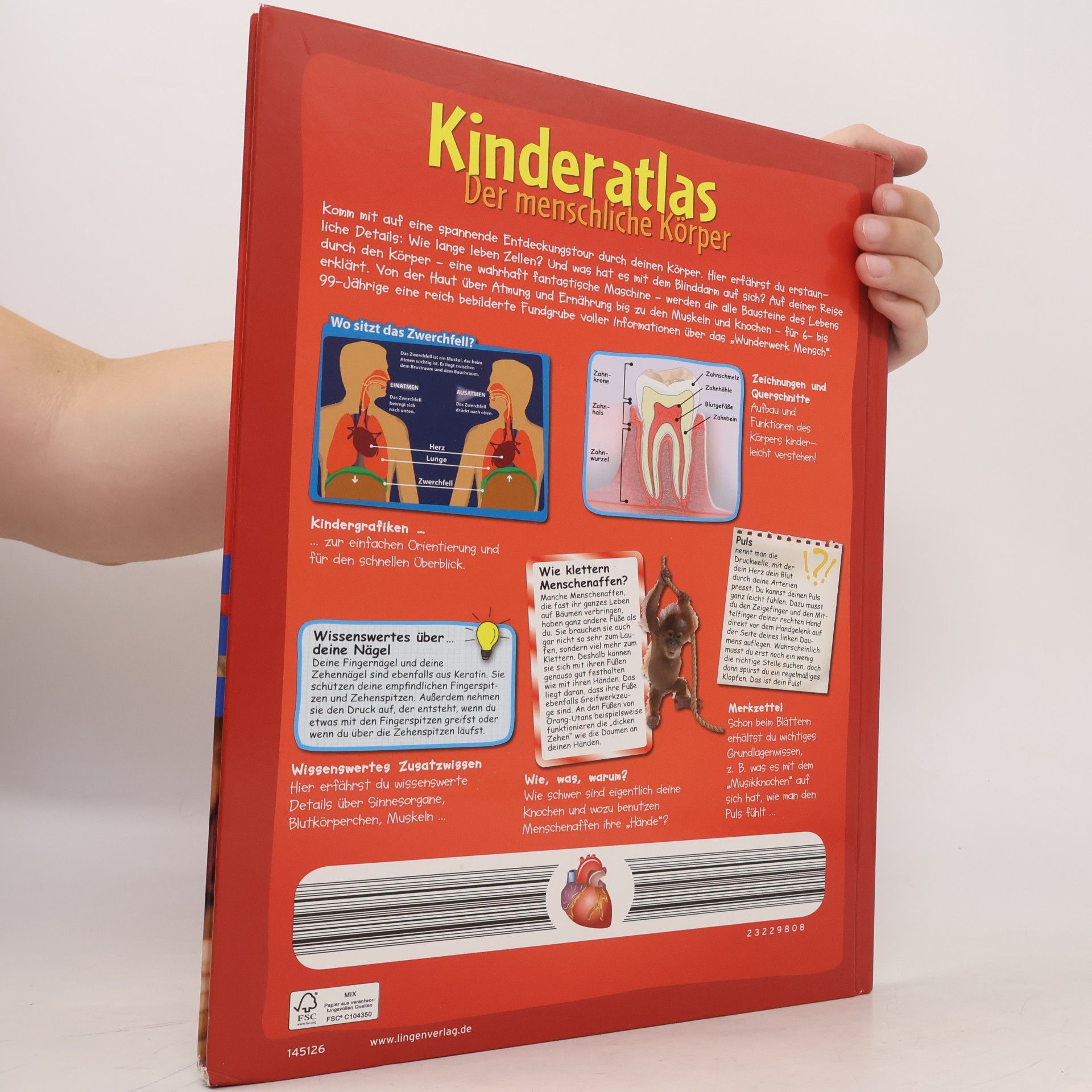 Various authors Kinderatlas. Der menschliche Körper