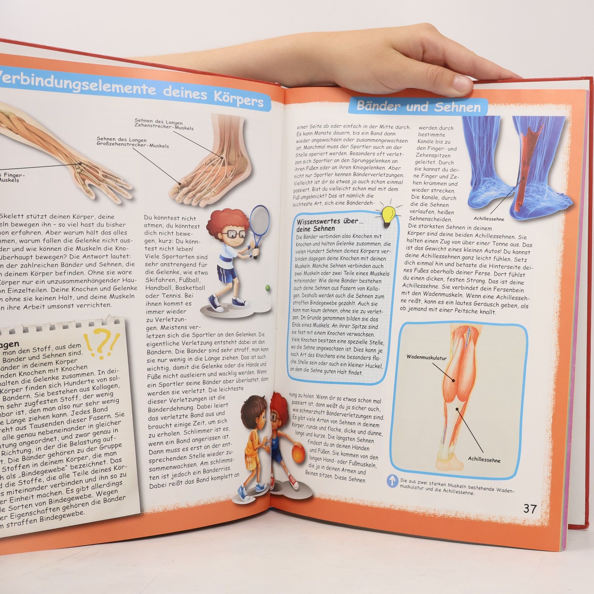 Various authors Kinderatlas. Der menschliche Körper