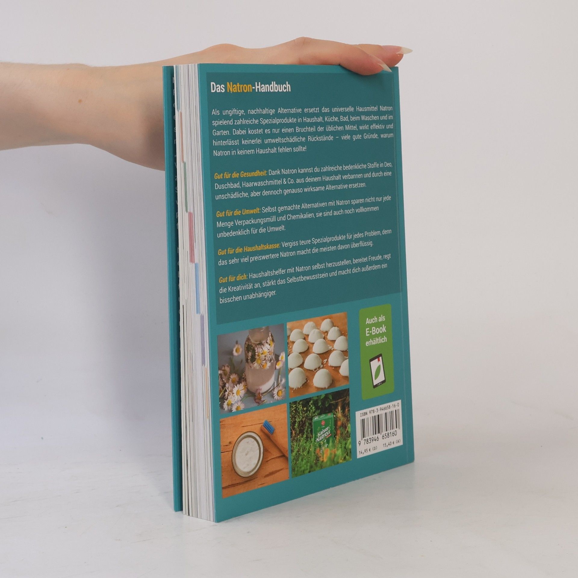 Kolektiv autorů Das Natron-Handbuch
