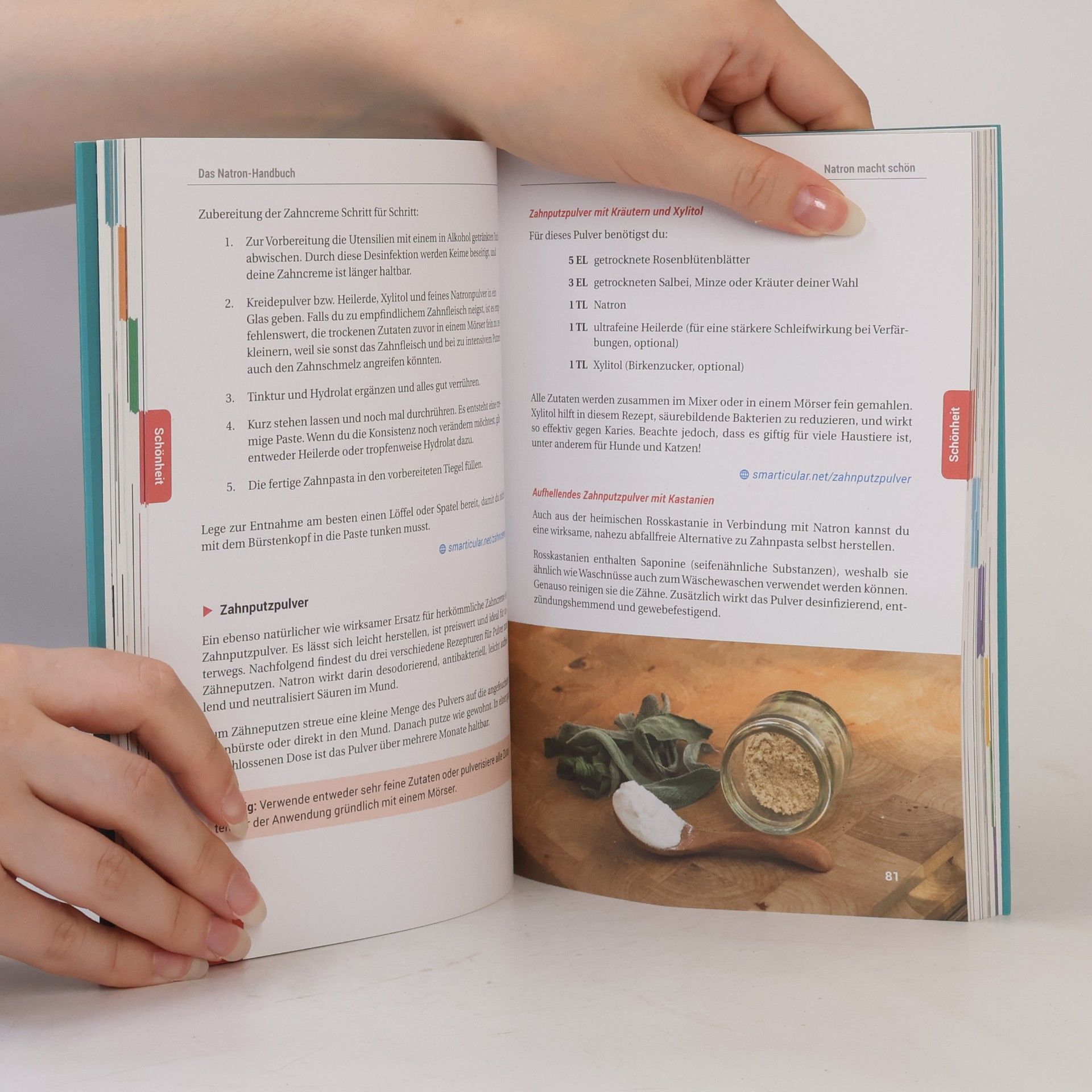 Kolektiv autorů Das Natron-Handbuch