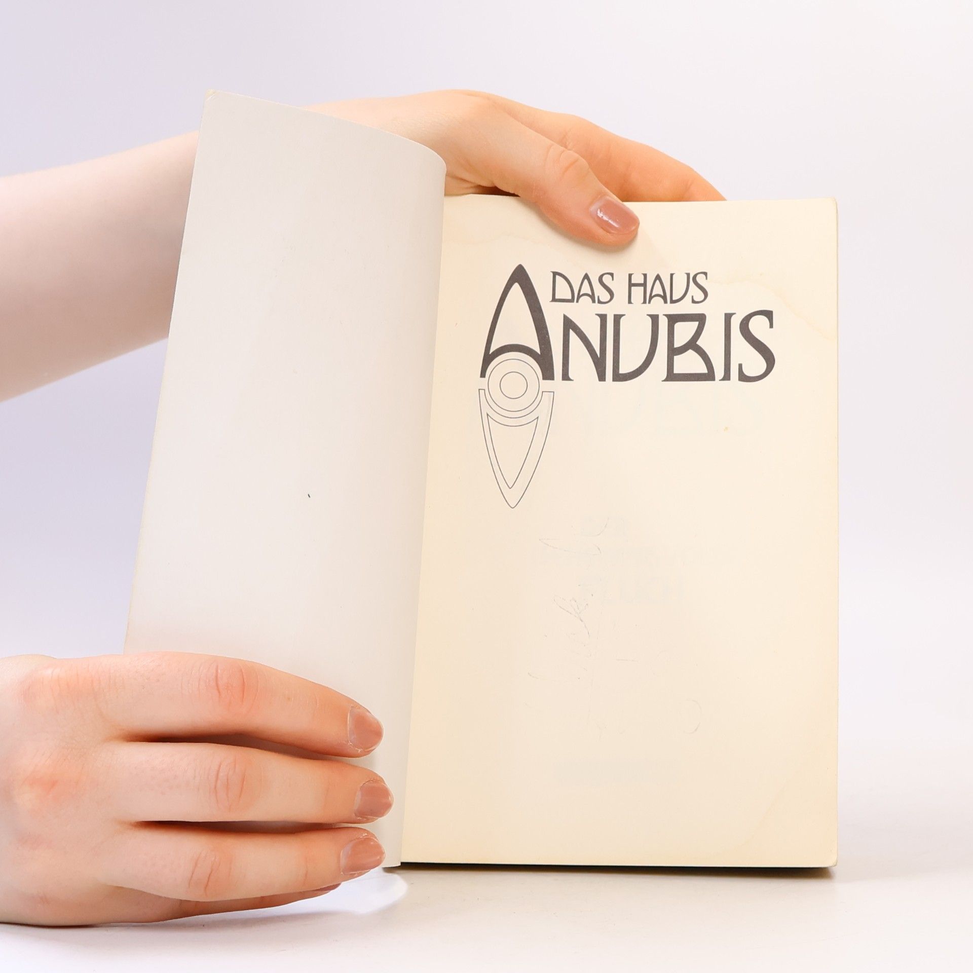 Alexandra Penrhyn Lowe Das Haus Anubis : Der geheimnisvolle Fluch