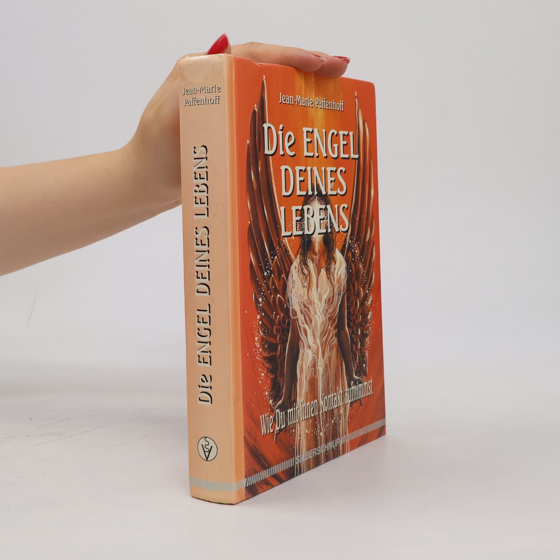 Jean Marie Paffenhoff Die Engel Deines Lebens