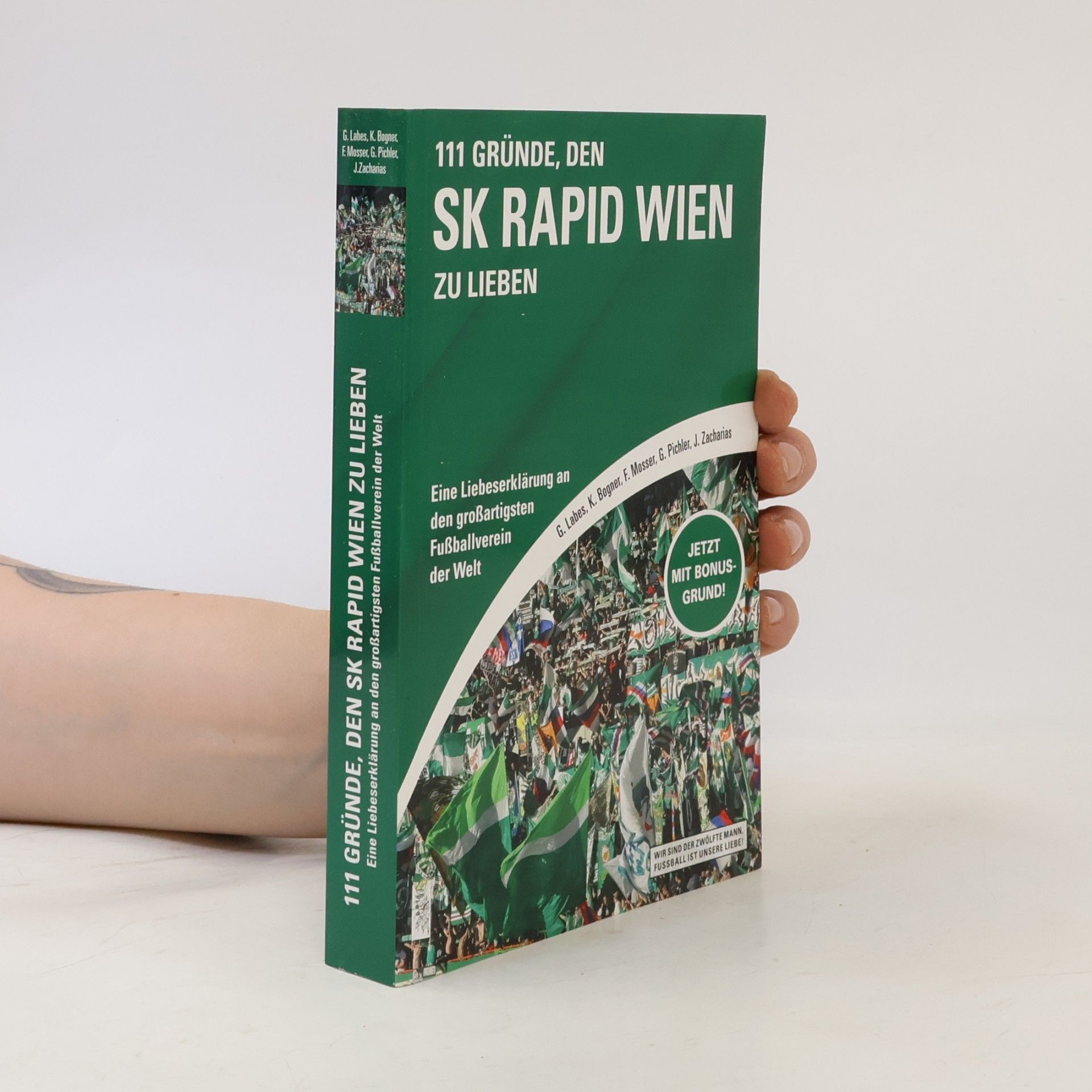 Gregor Labes 111 Gründe, den SK Rapid Wien zu lieben