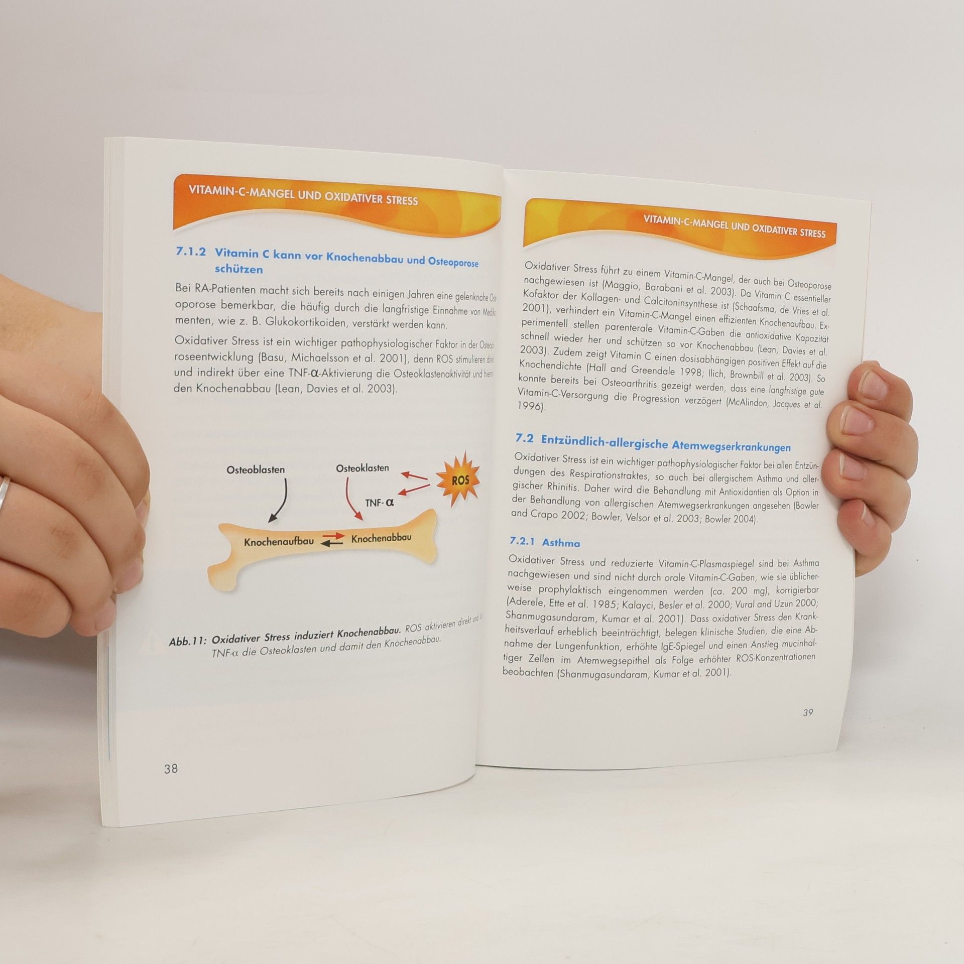 Autorenkollektiv Die Vitamin C. Hochdosis-Infusionstherapie