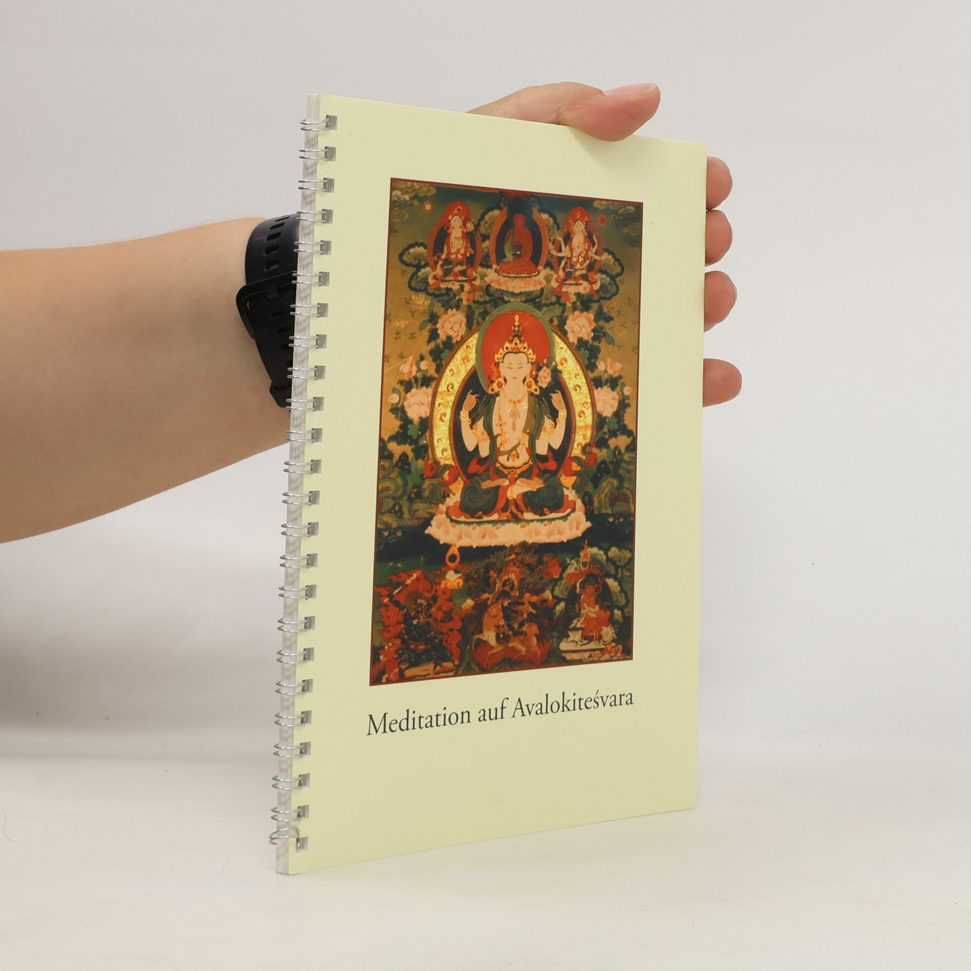 Autorenkollektiv Meditation auf Avalokiteśvara