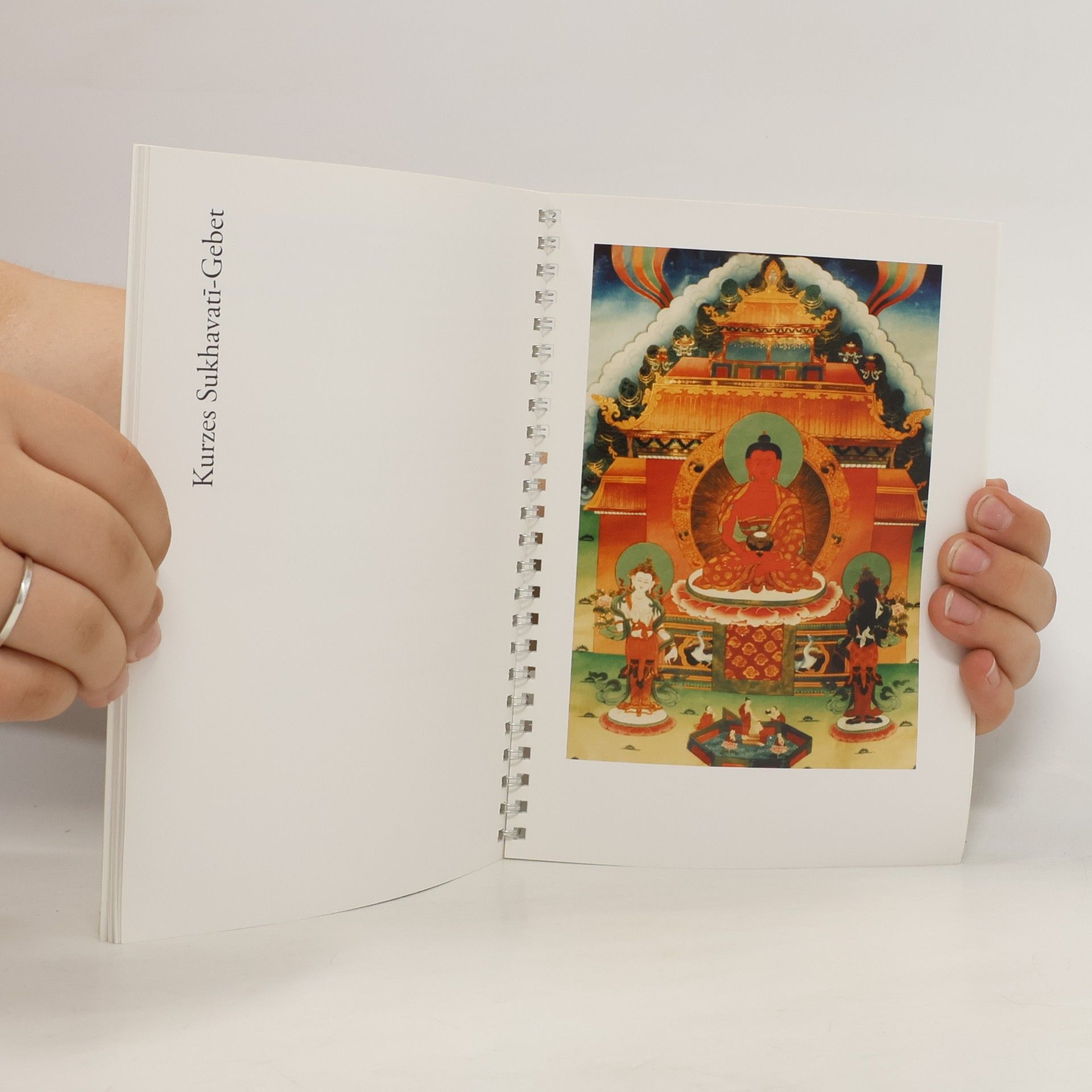 Autorenkollektiv Meditation auf Avalokiteśvara
