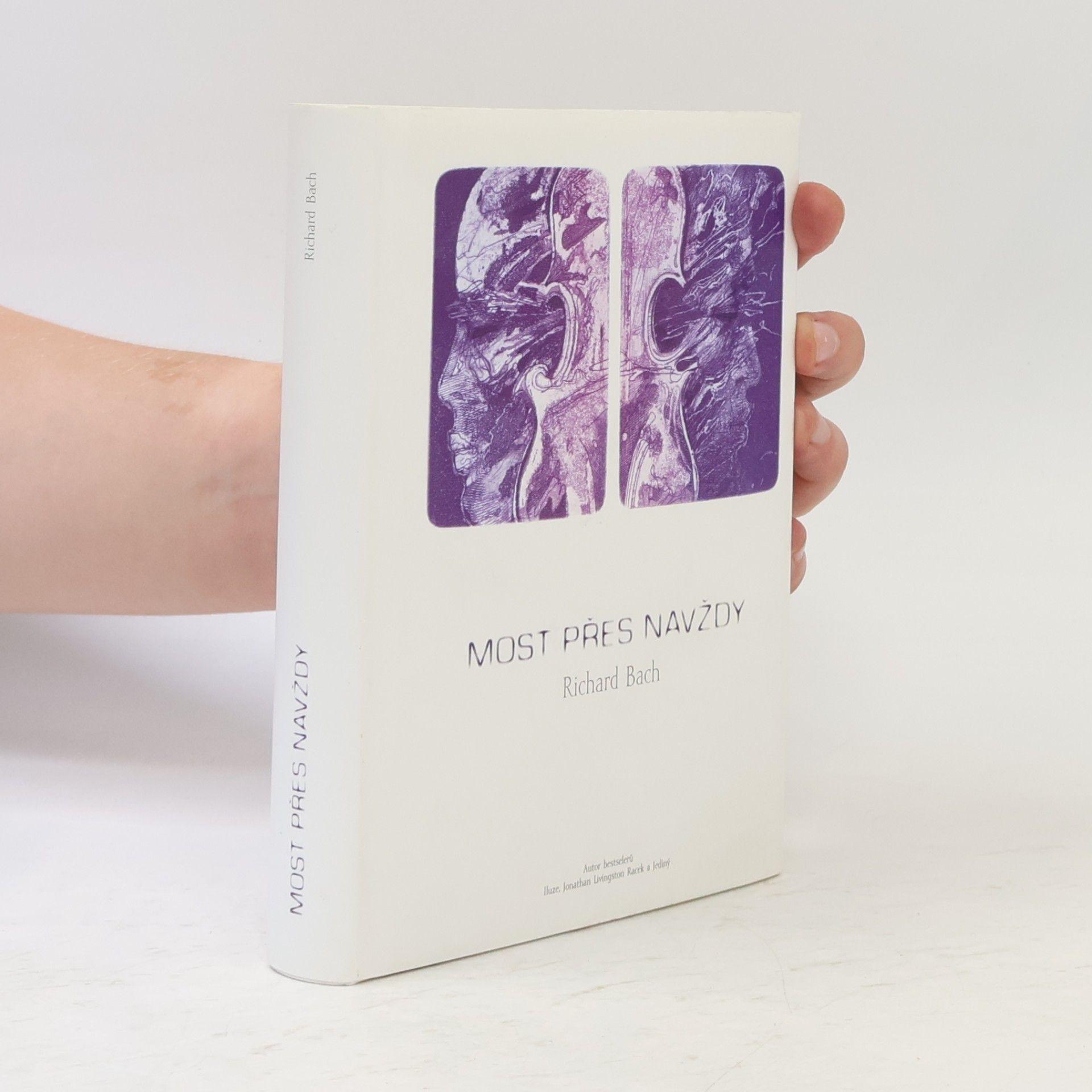 Richard Bach Most přes navždy