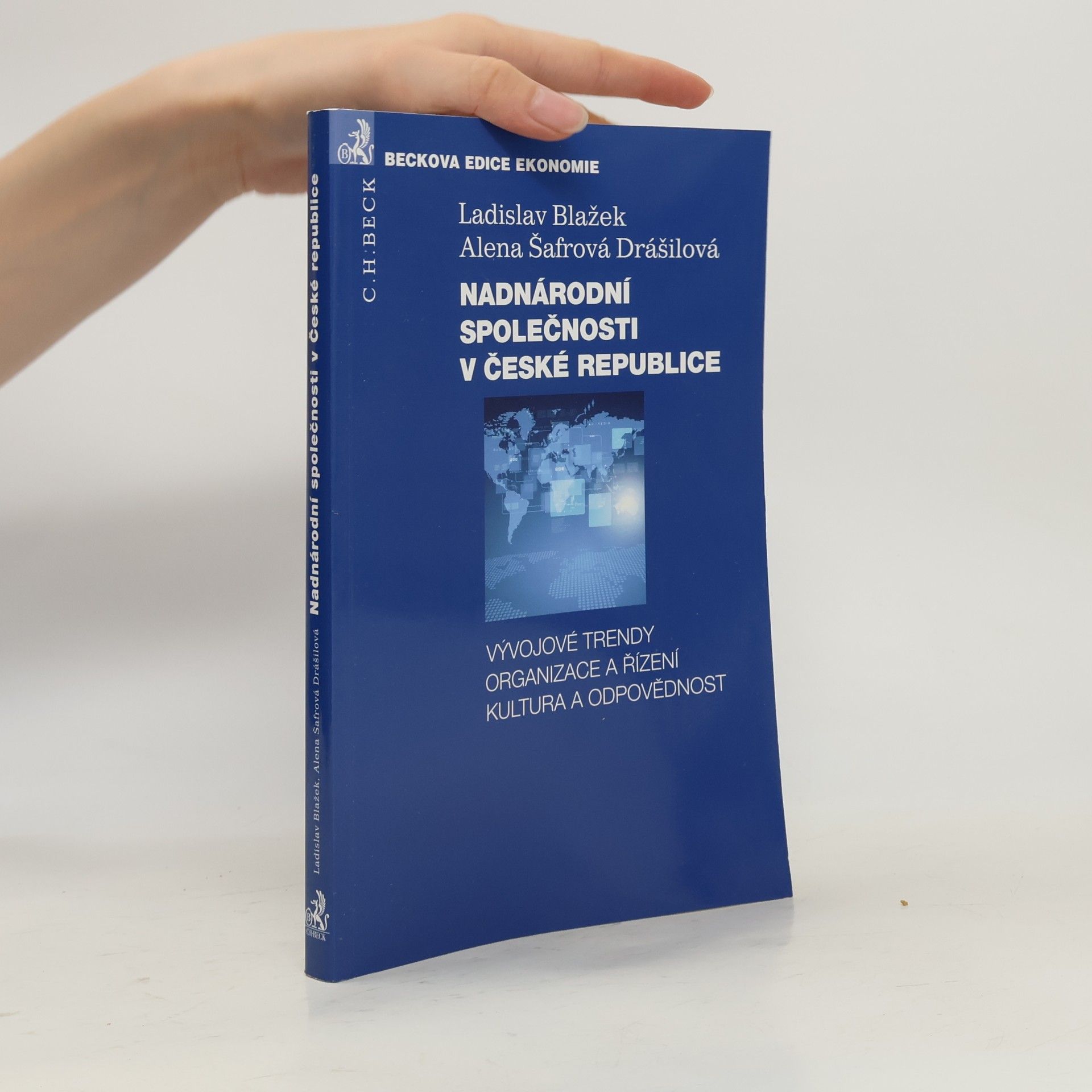 Nadnárodní společnosti v České republice