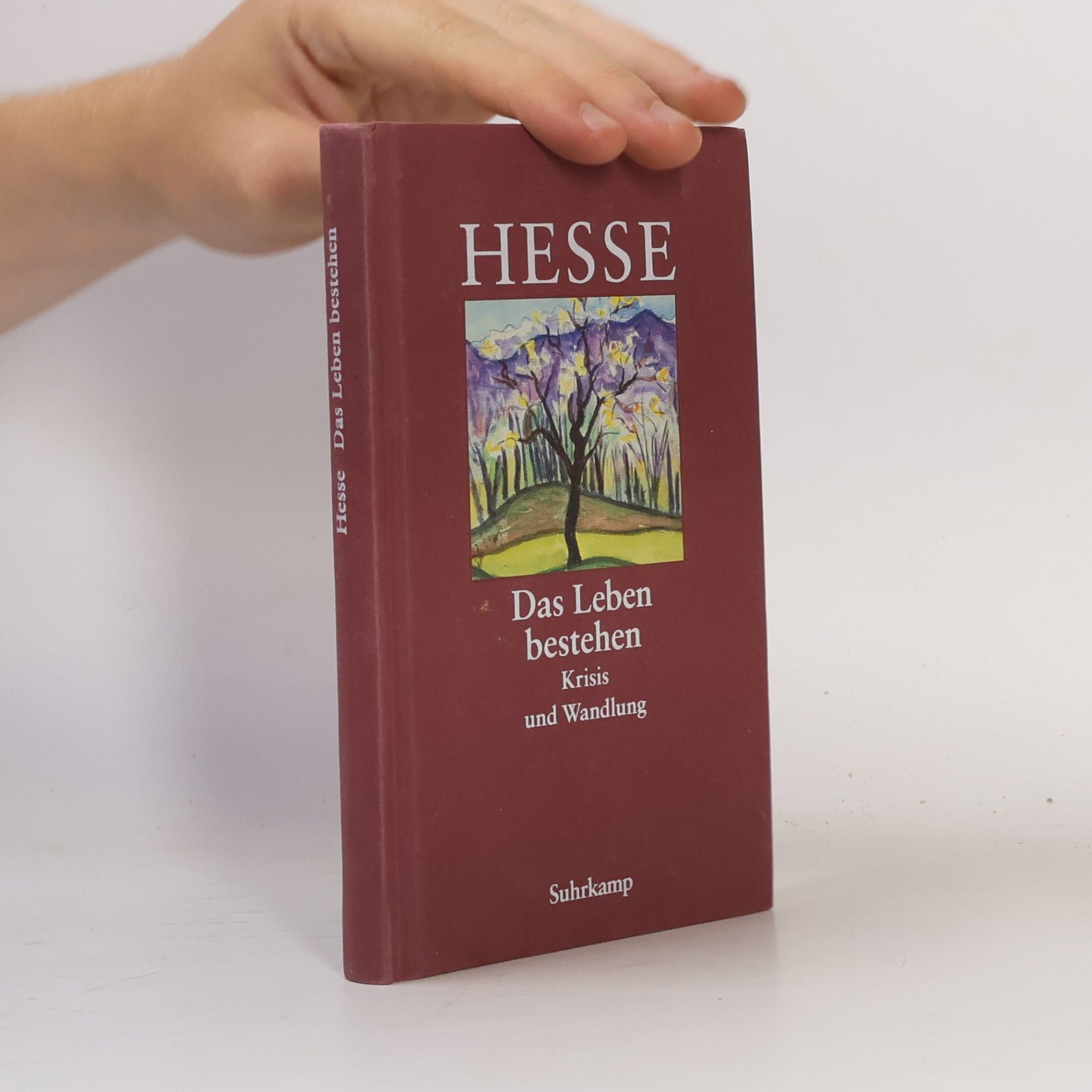 Hermann Hesse Die Hölle ist überwindbar
