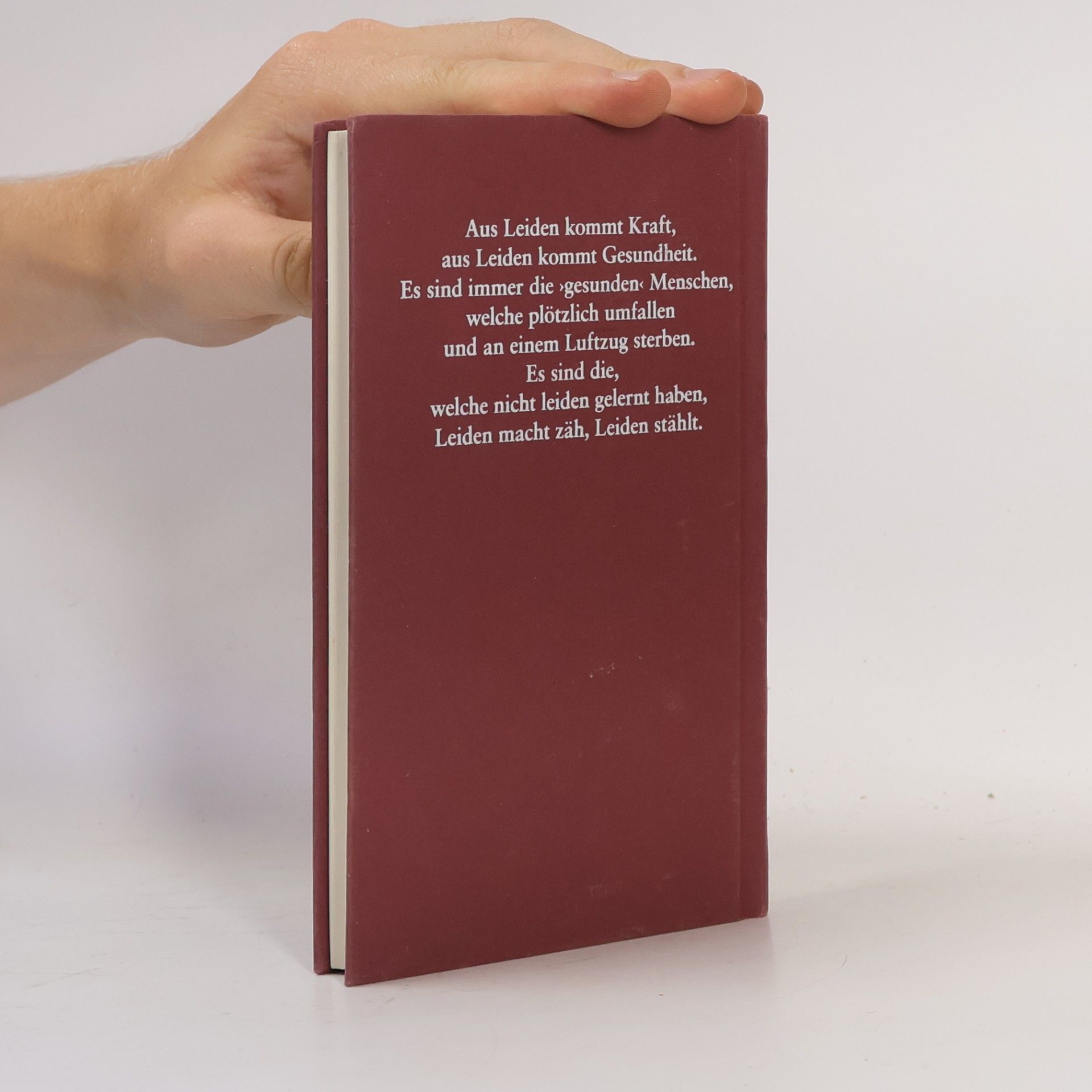 Hermann Hesse Die Hölle ist überwindbar