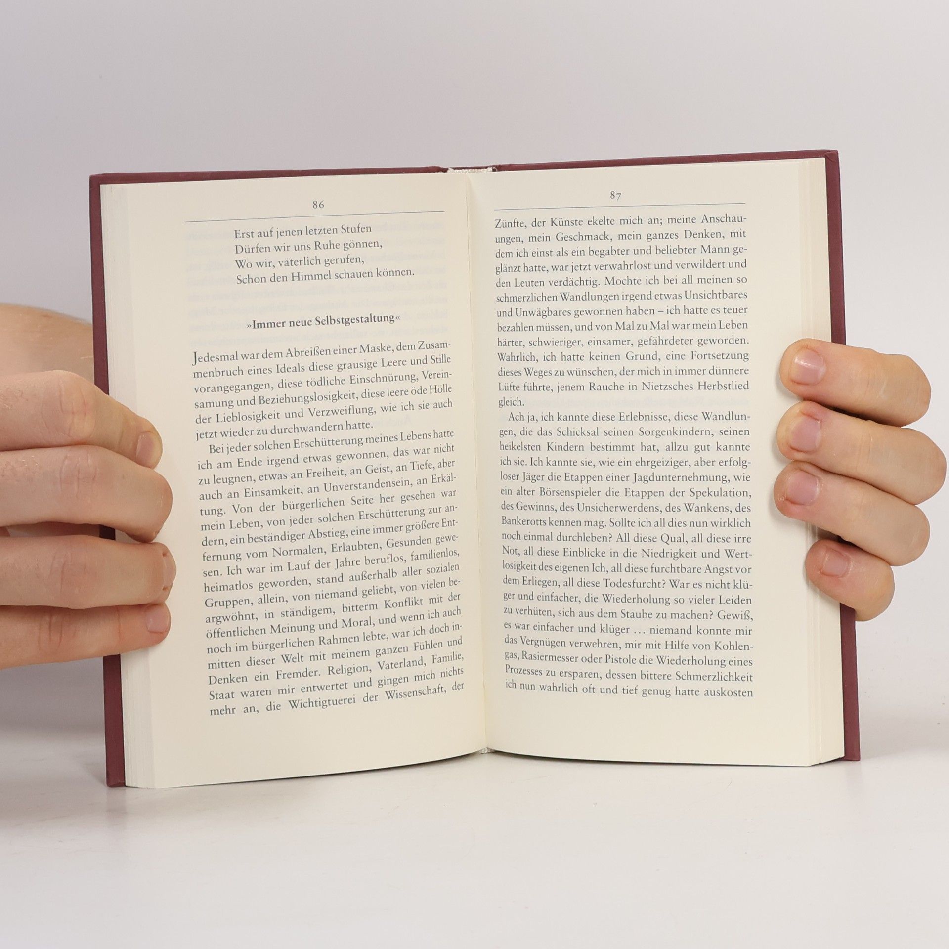 Hermann Hesse Die Hölle ist überwindbar