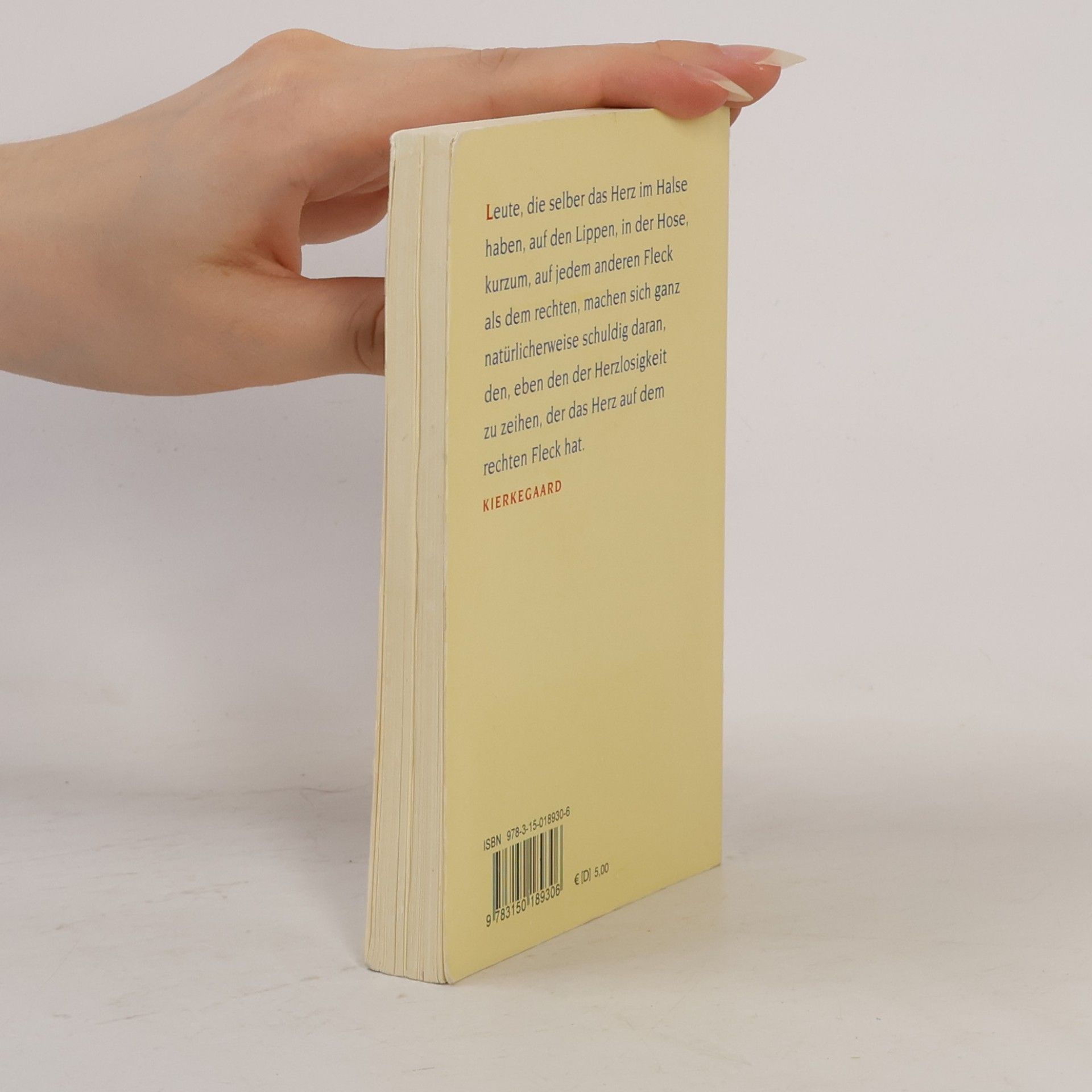 Søren Kierkegaard Kierkegaard zum Vergnügen