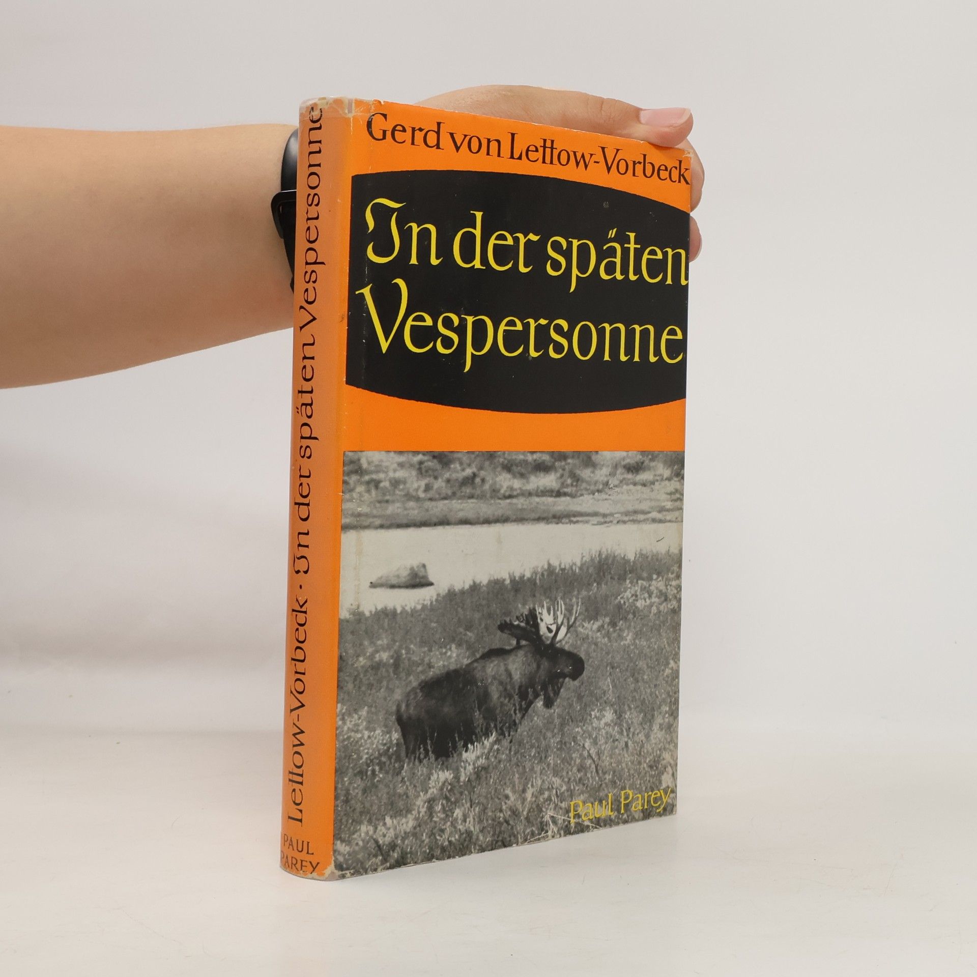 Gerd von Lettow-Vorbeck In der späten Vespersonne