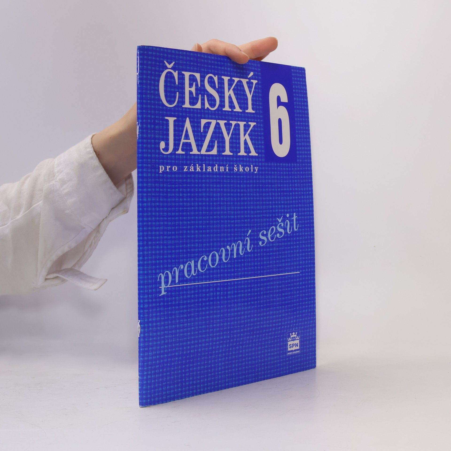 Ivana Bozděchová Český jazyk 6 pro základní školy : pracovní sešit