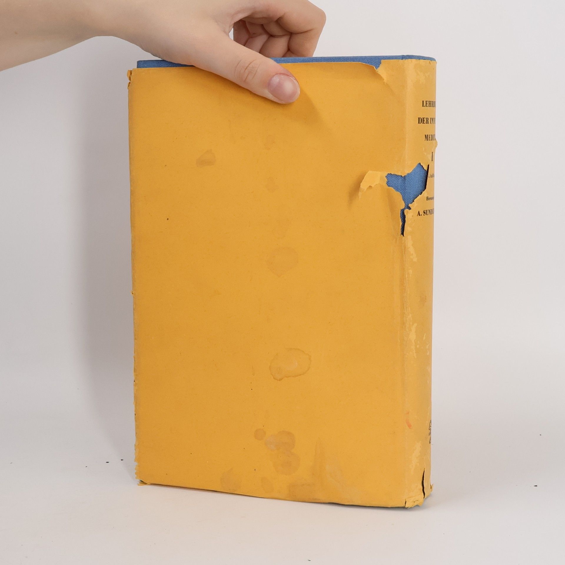 August Sundermann Lehrbuch der inneren Medizin, Band I.
