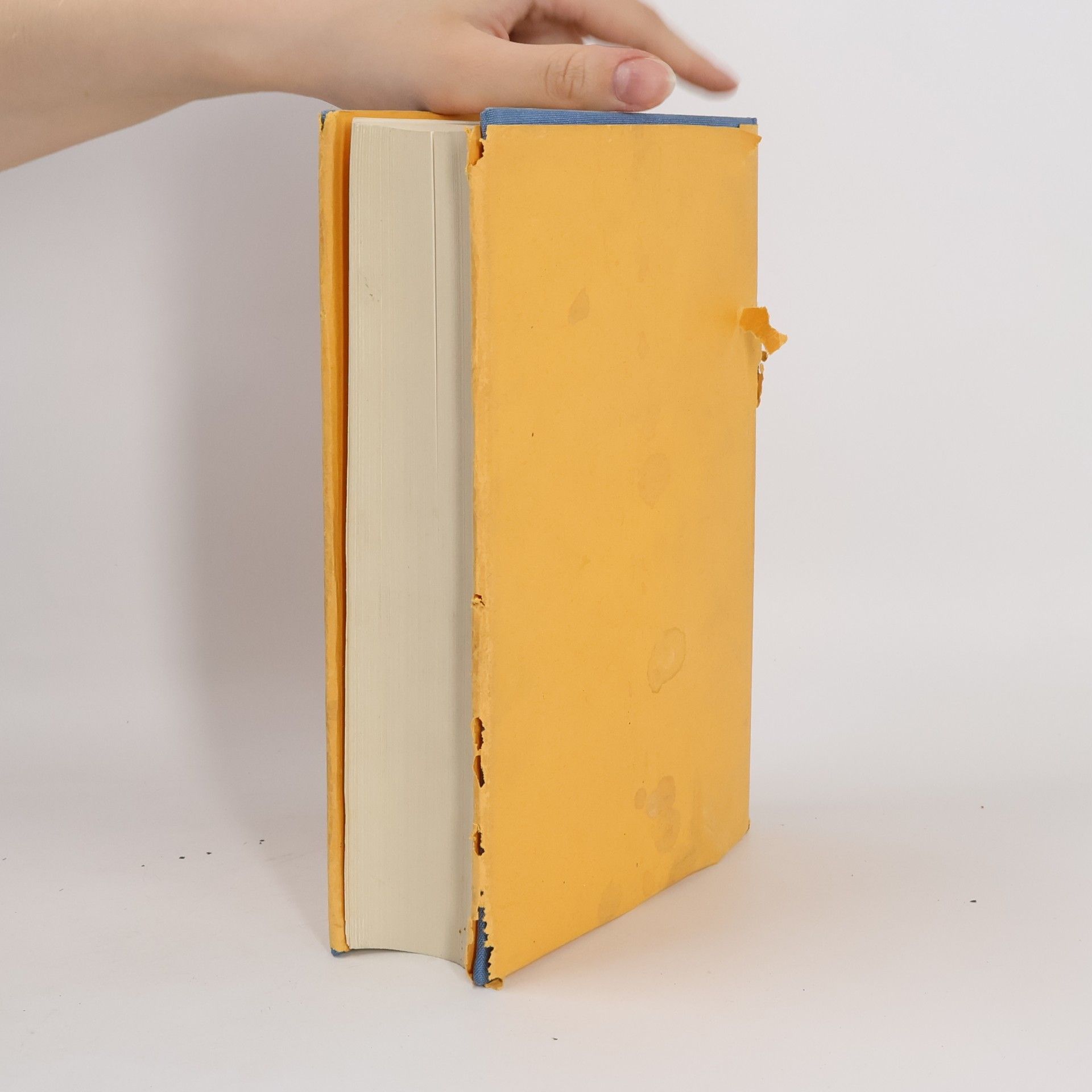 August Sundermann Lehrbuch der inneren Medizin, Band I.