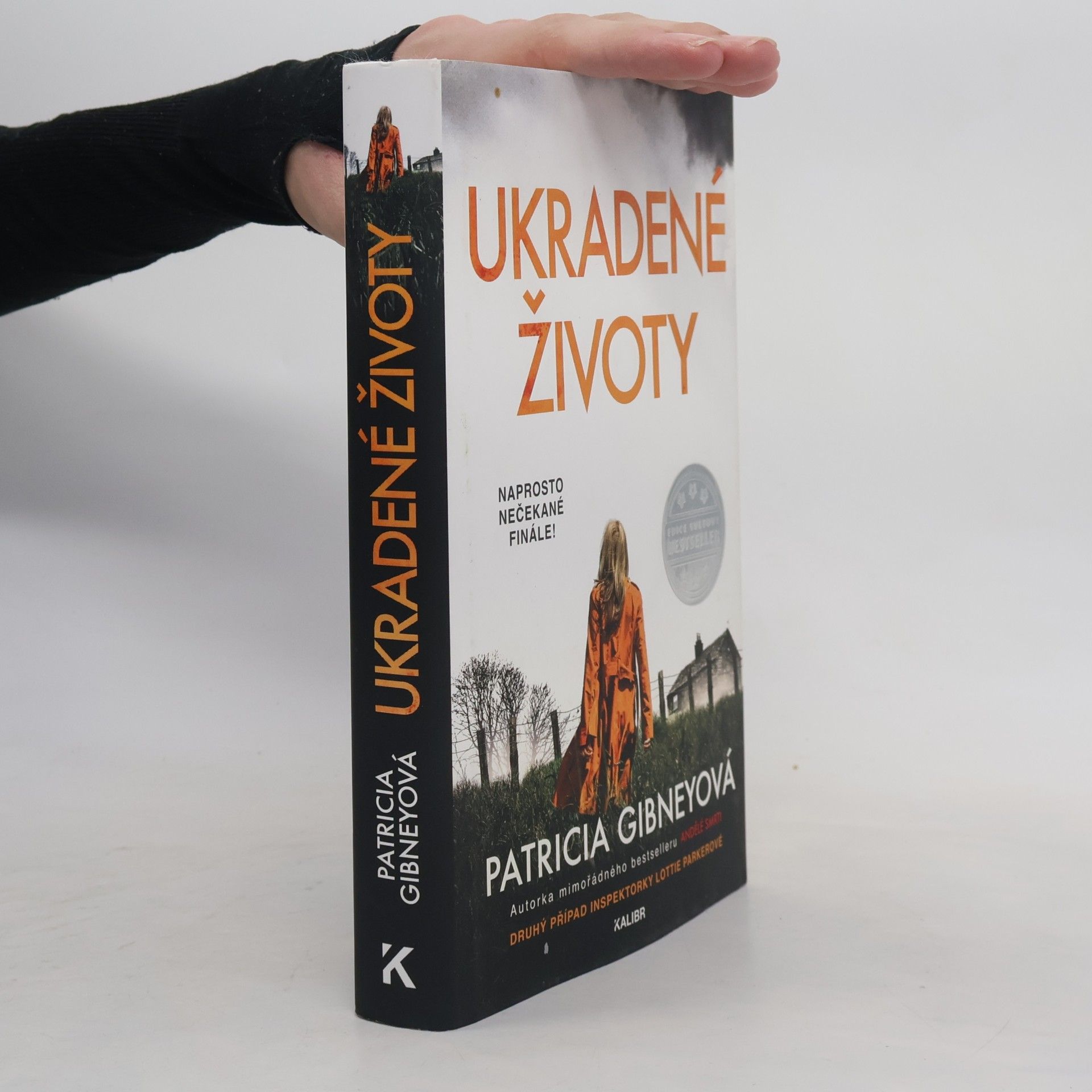 Patricia Gibney Ukradené životy