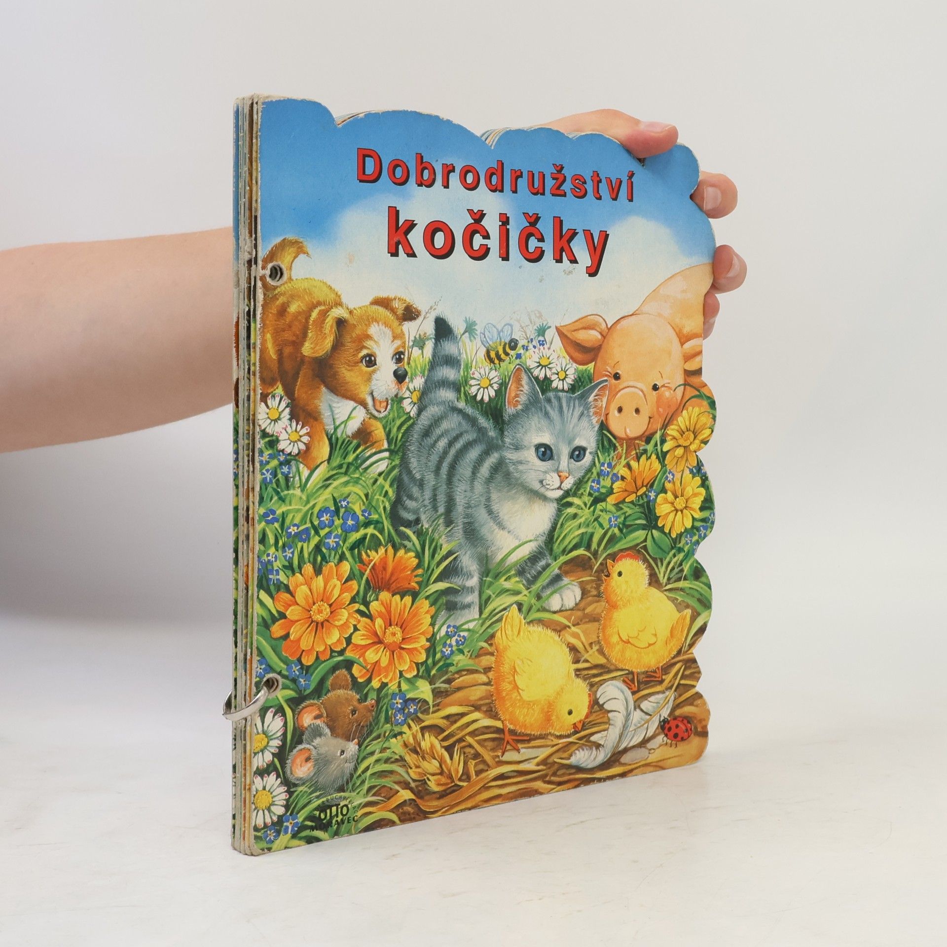 Linda Birkenshaw Dobrodružství kočičky