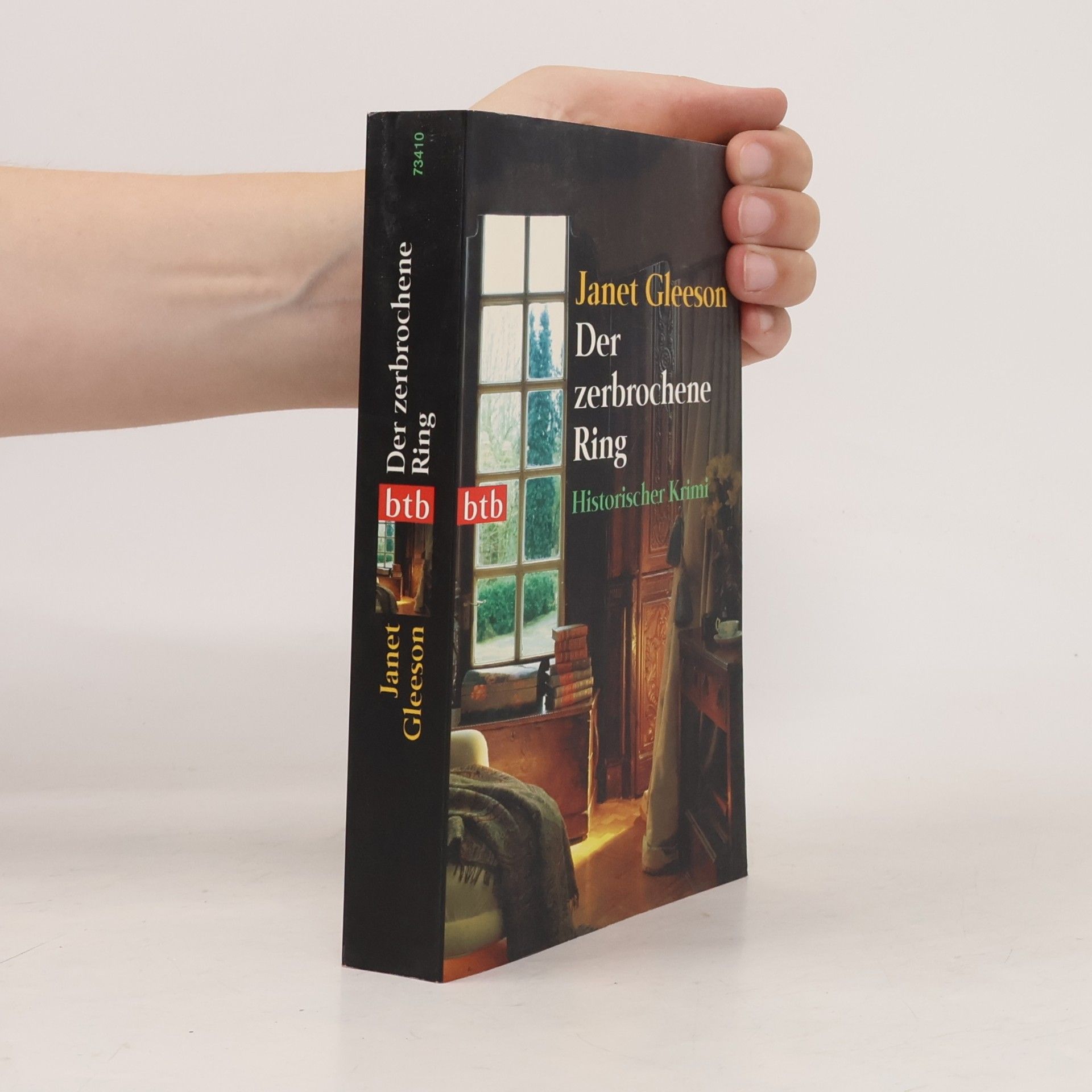 Janet Gleeson Der zerbrochene Ring