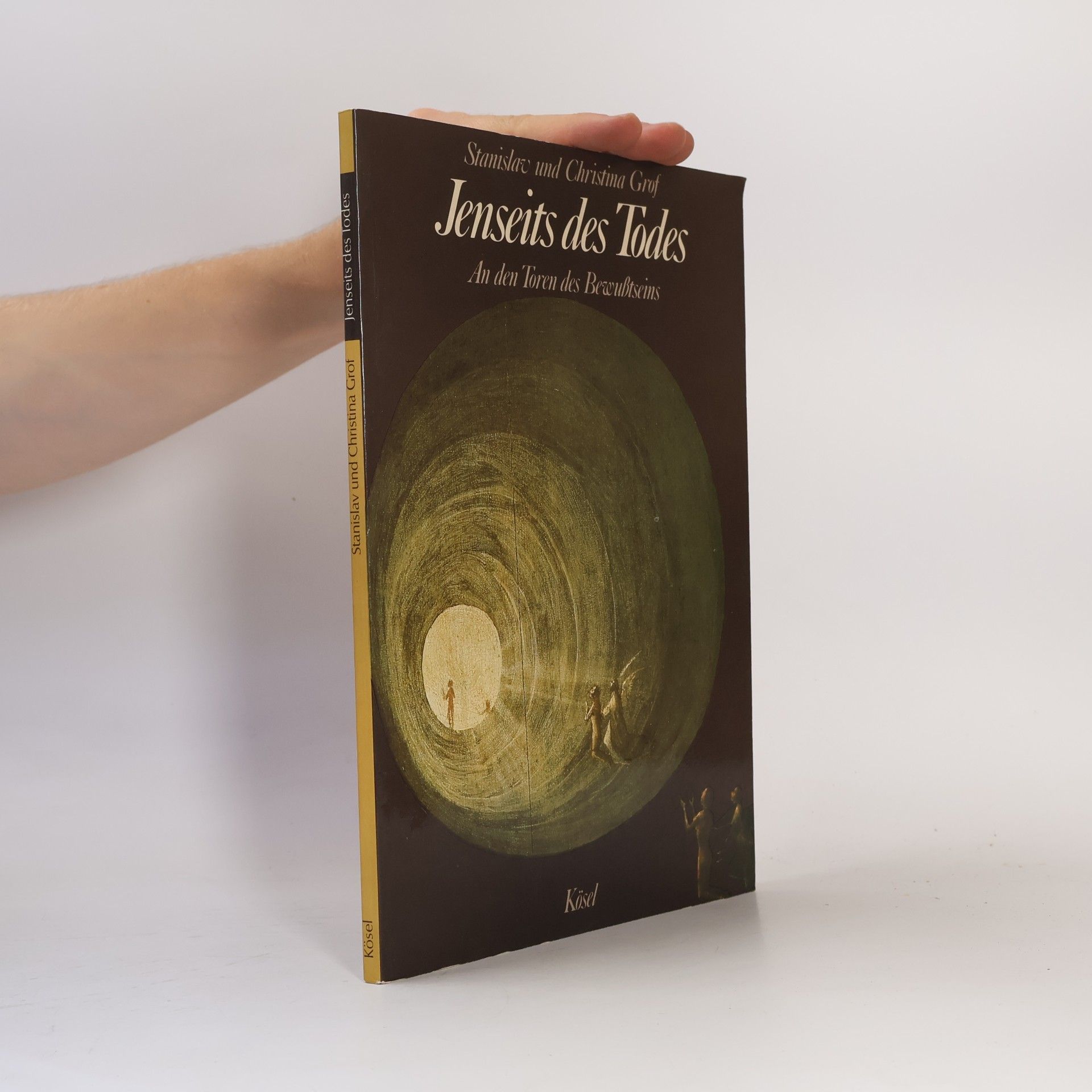 Stanislav Grof Jenseits des Todes : an den Toren des Bewusstseins