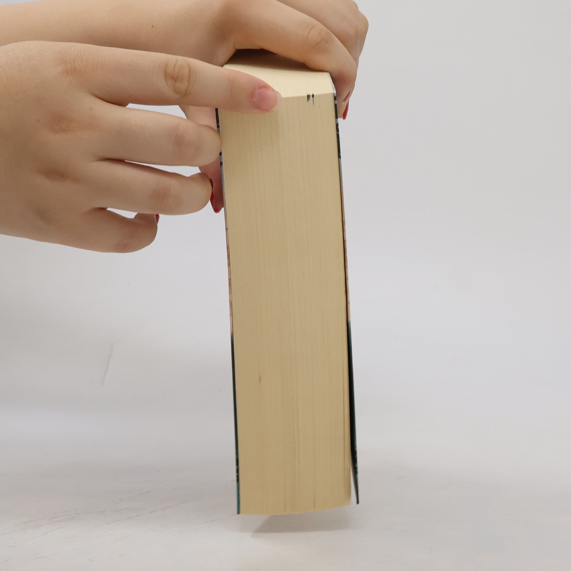 Elisabeth Hermann Der Teepalast : Roman