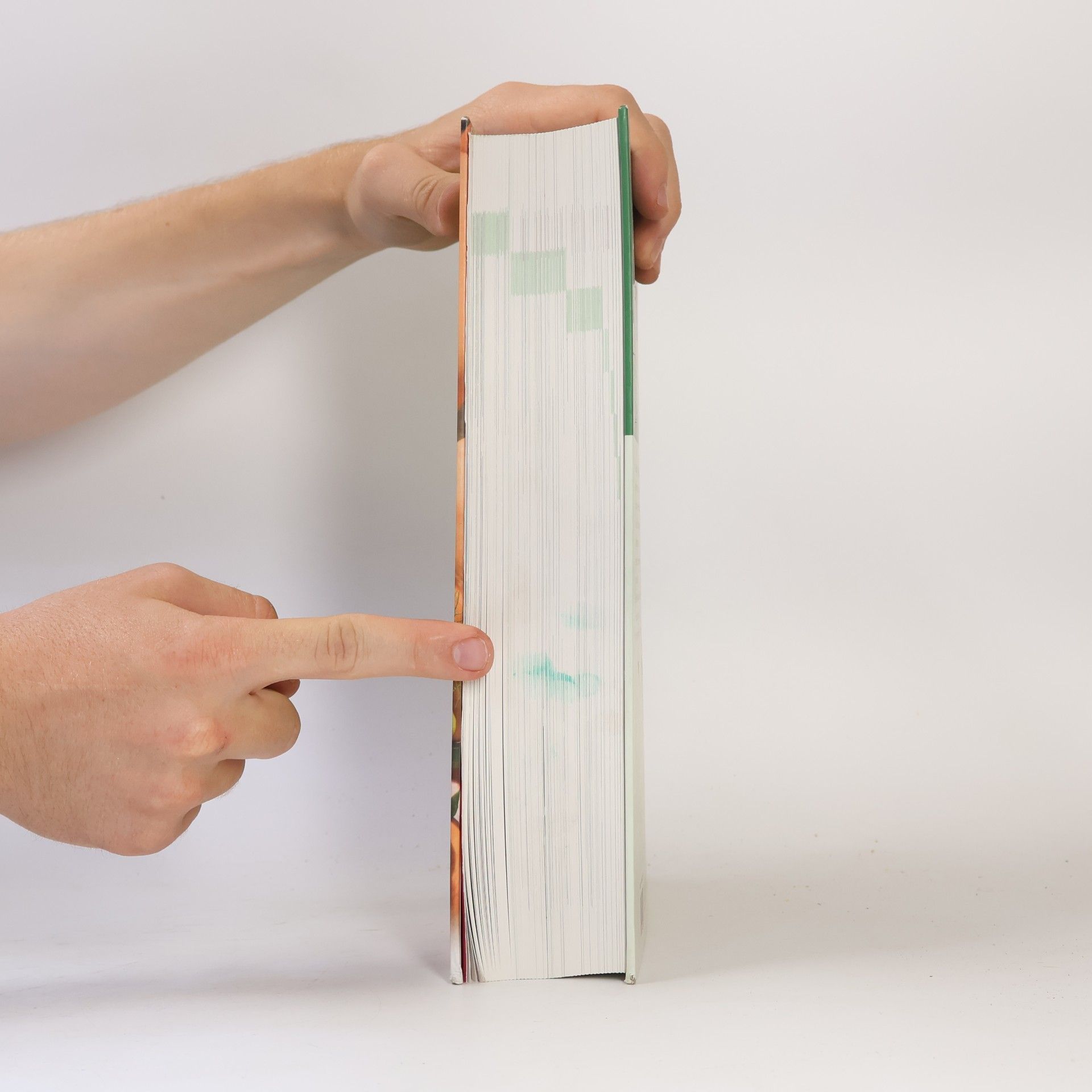 Andrea Heistinger Das große Biogarten-Buch