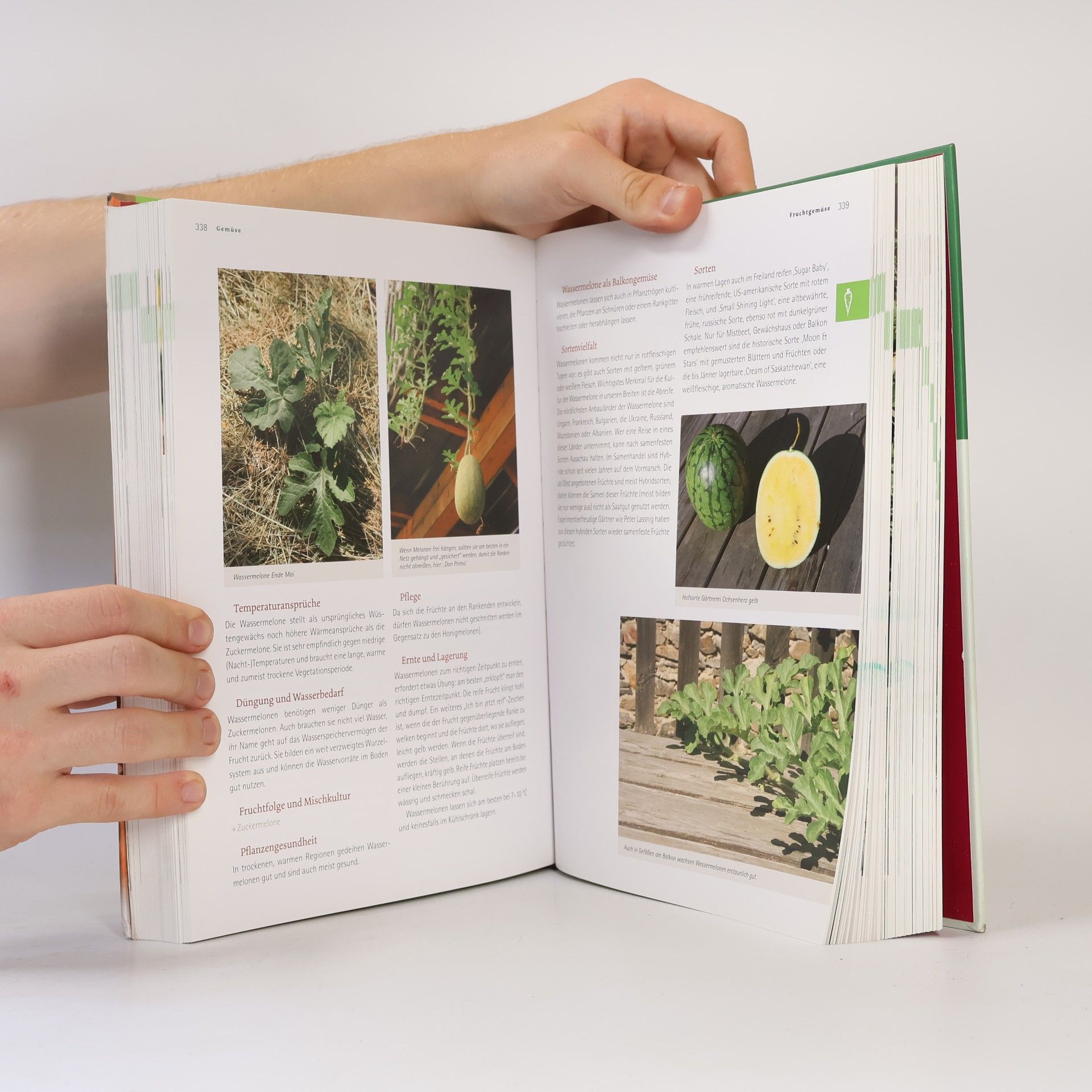 Andrea Heistinger Das große Biogarten-Buch