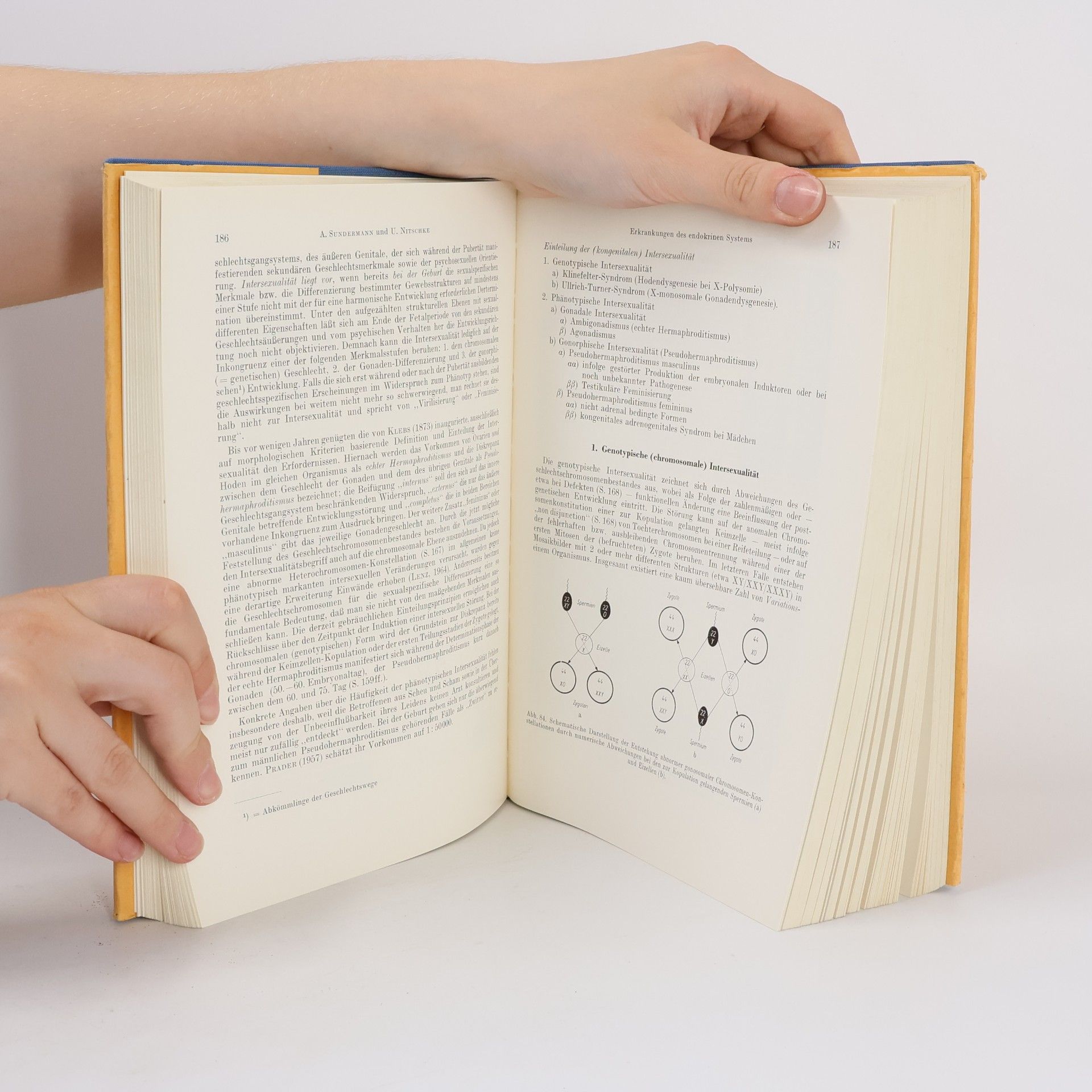 August Sundermann Lehrbuch der inneren Medizin. Band III