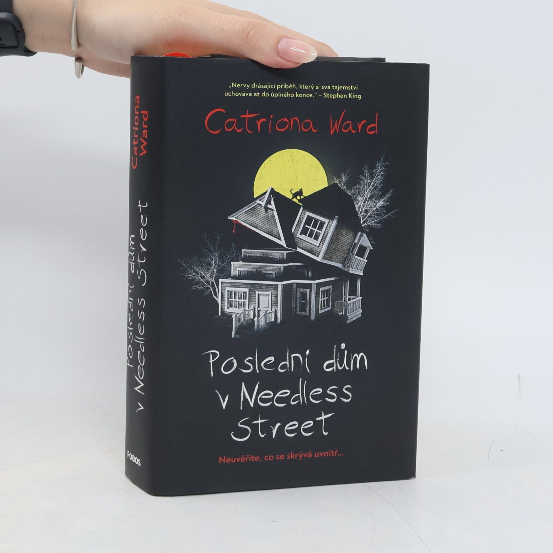 Catriona Ward Poslední dům v Needless Street