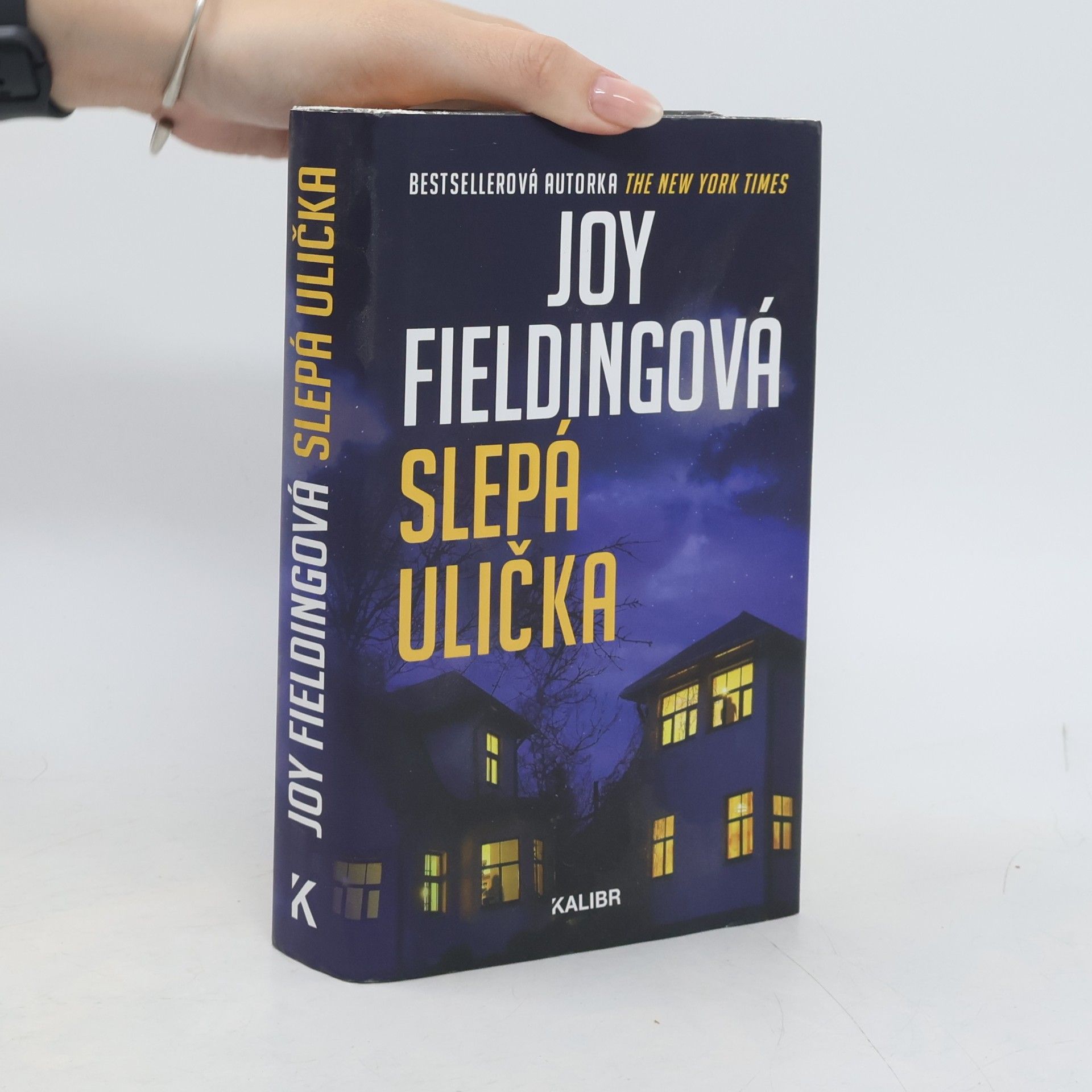 Joy Fielding Slepá ulička