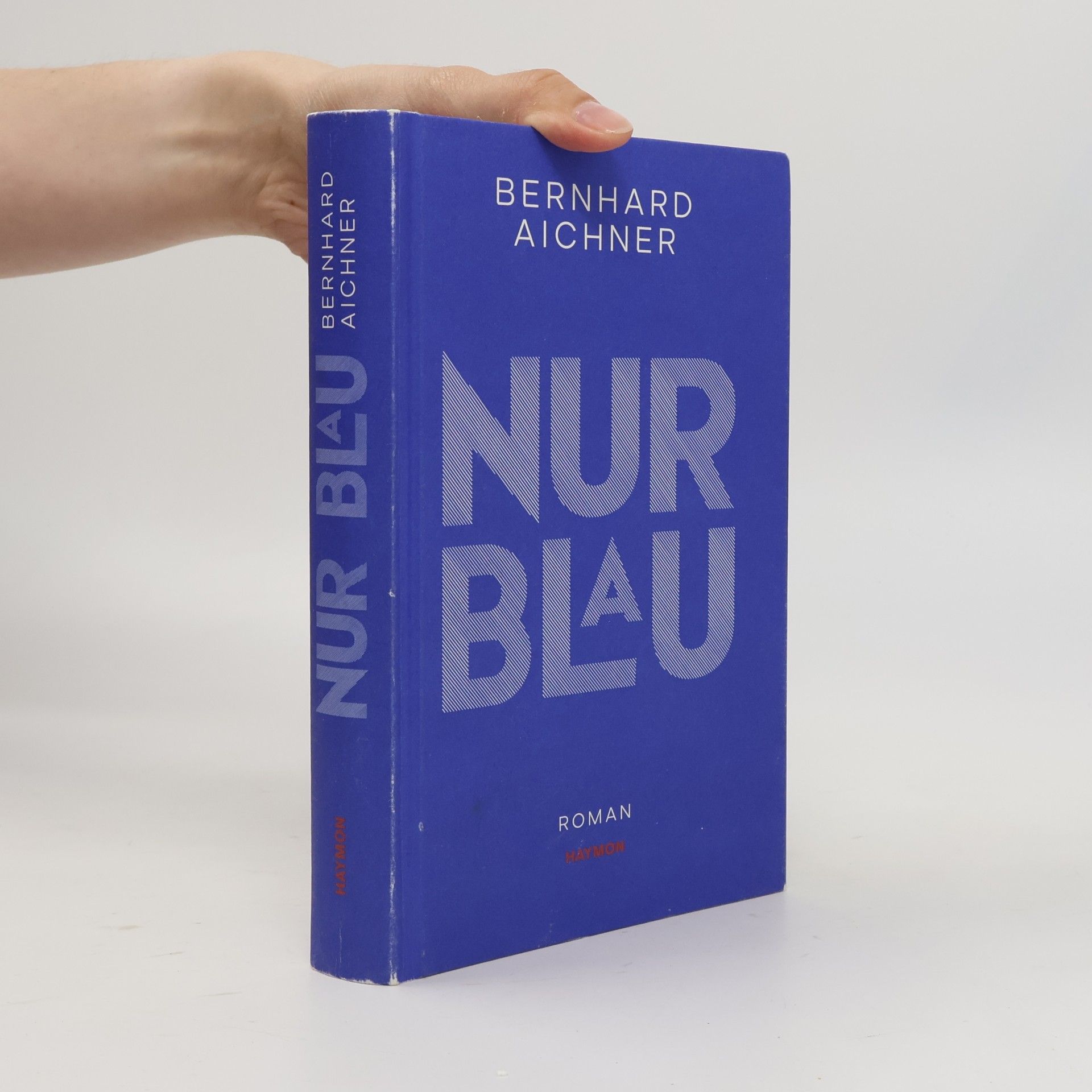 Bernhard Aichner Nur Blau