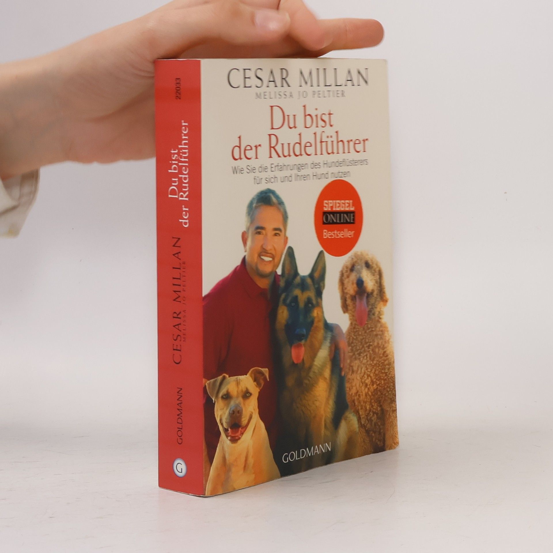 Cesar Millan Du bist der Rudelführer