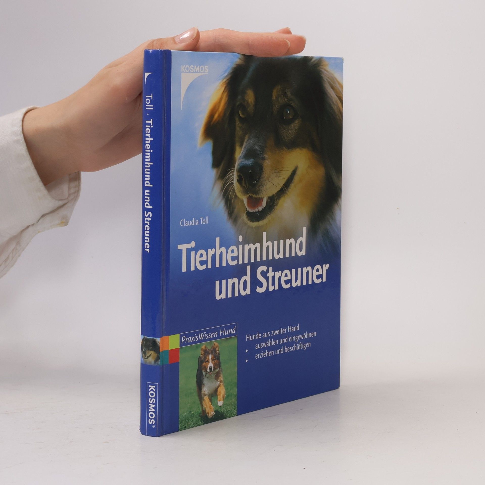 Claudia Toll Tierheimhund und Streuner