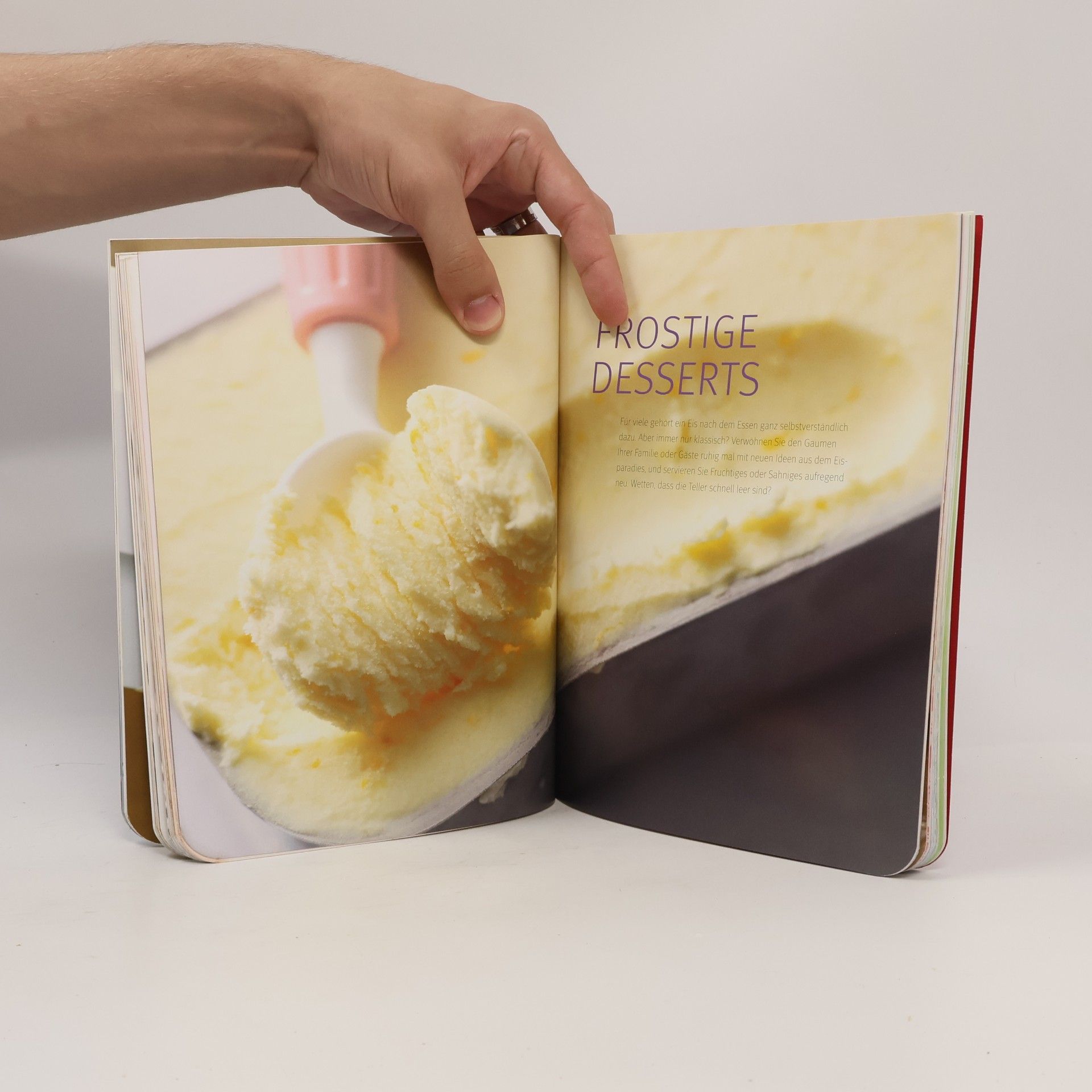 Monika Schuster Eis & Sorbets